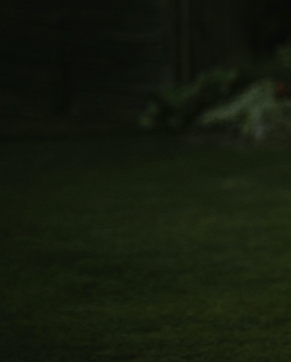 tamsiai žalios spalvos fonas