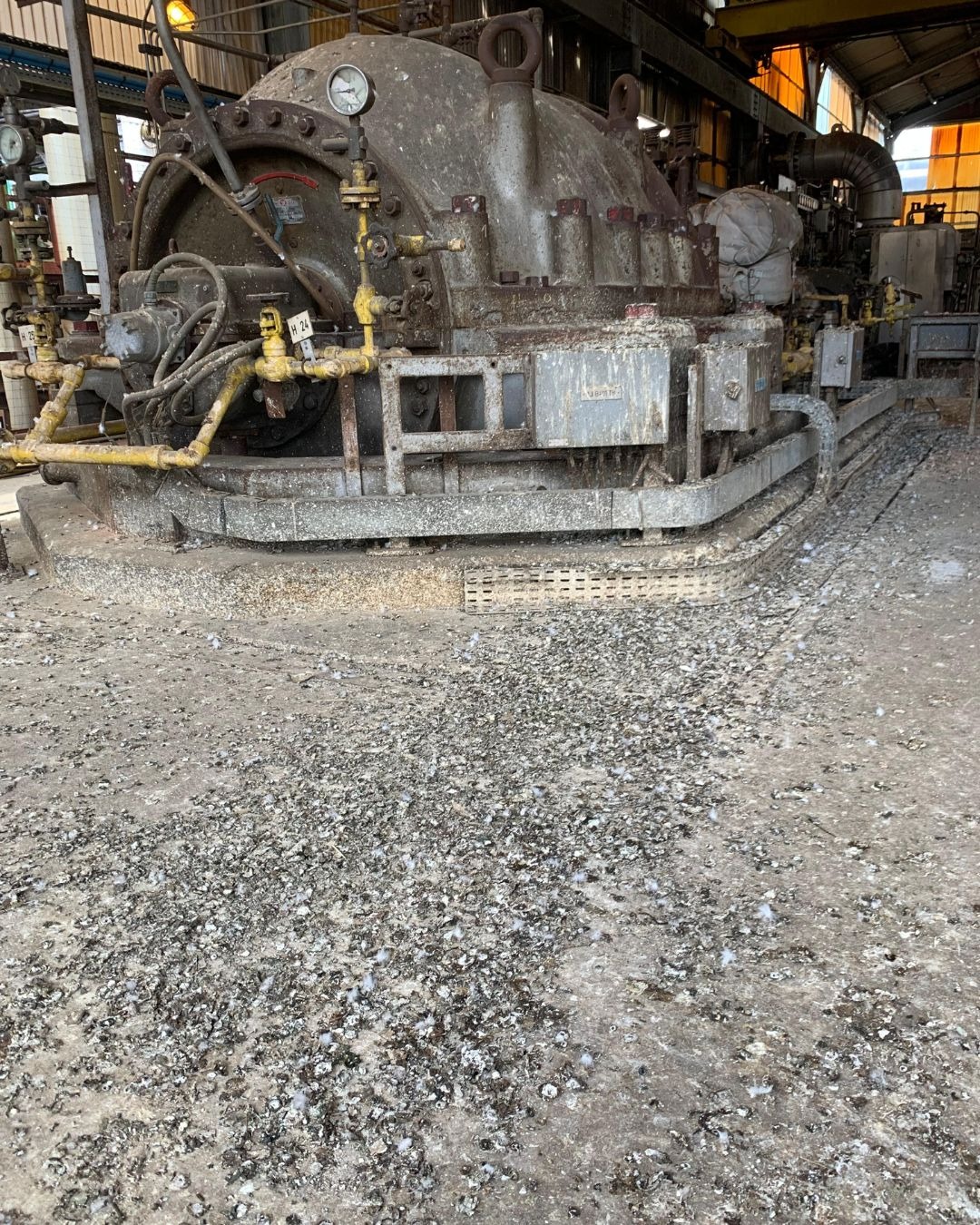 degats causés par les fientes de pigeons dans un site industriel