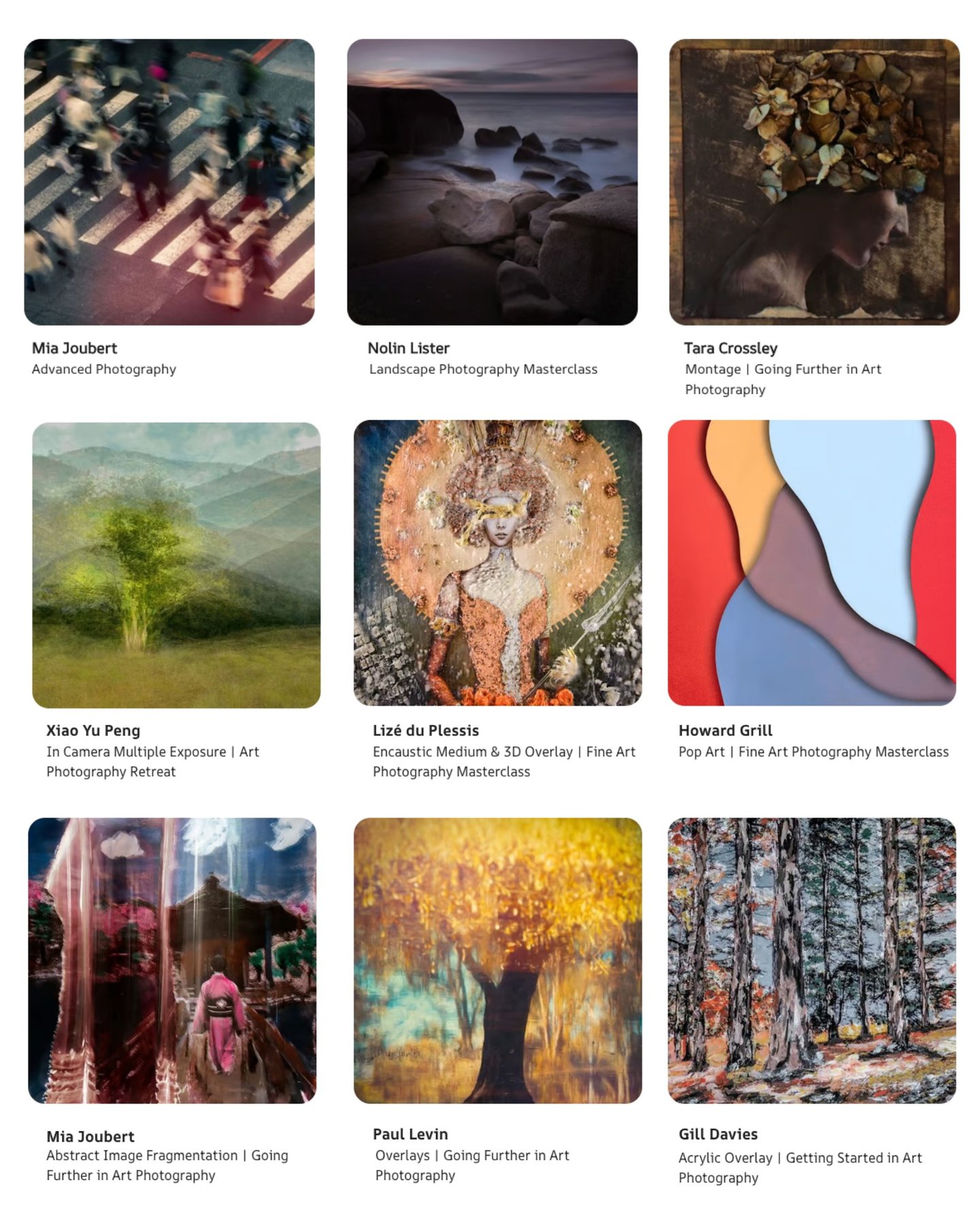 Fine art photography courses showcase student portfolios in various artistic styles and techniques.