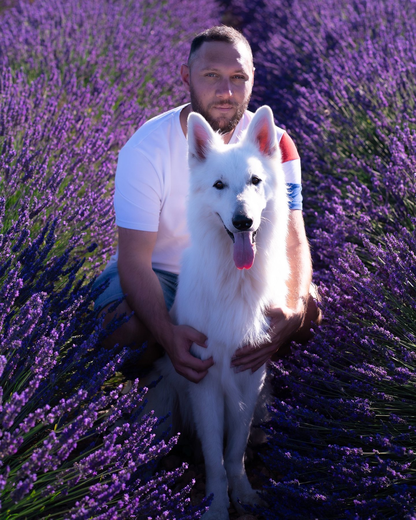Orama Photo - Photographe Professionnel Alpes de Haute Provence, Valensole, Aix-en-Provence, PACA