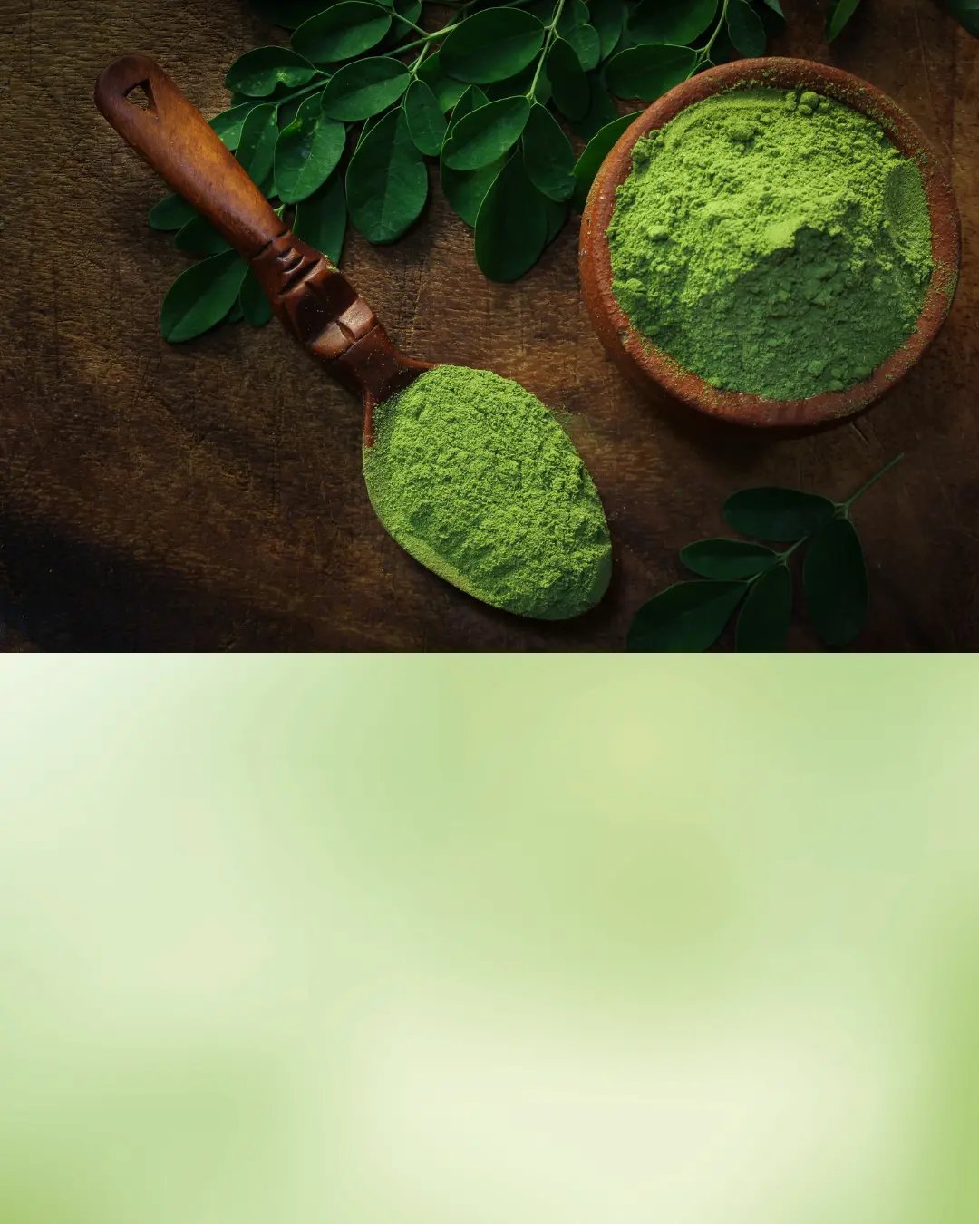 green powdered moringa powder
