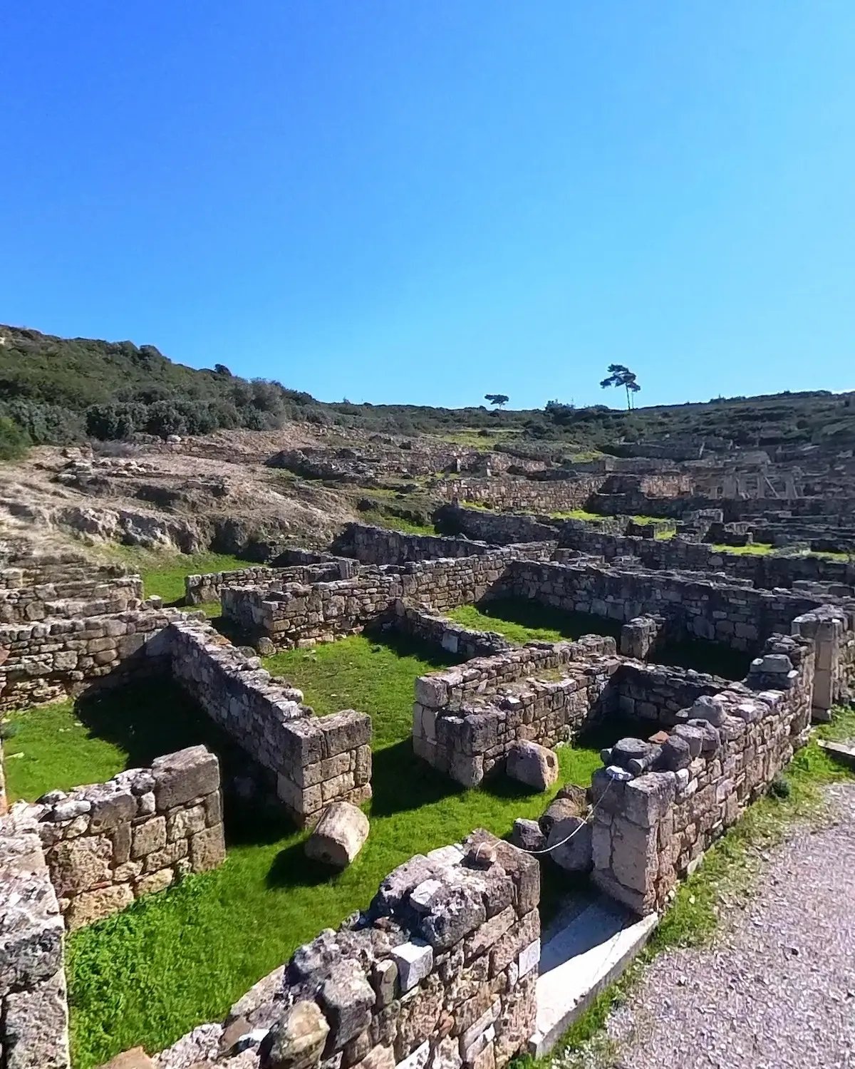 Ancient stone ruins of the city of Kamiros in Rhodes, Greece, under a clear blue sky.
