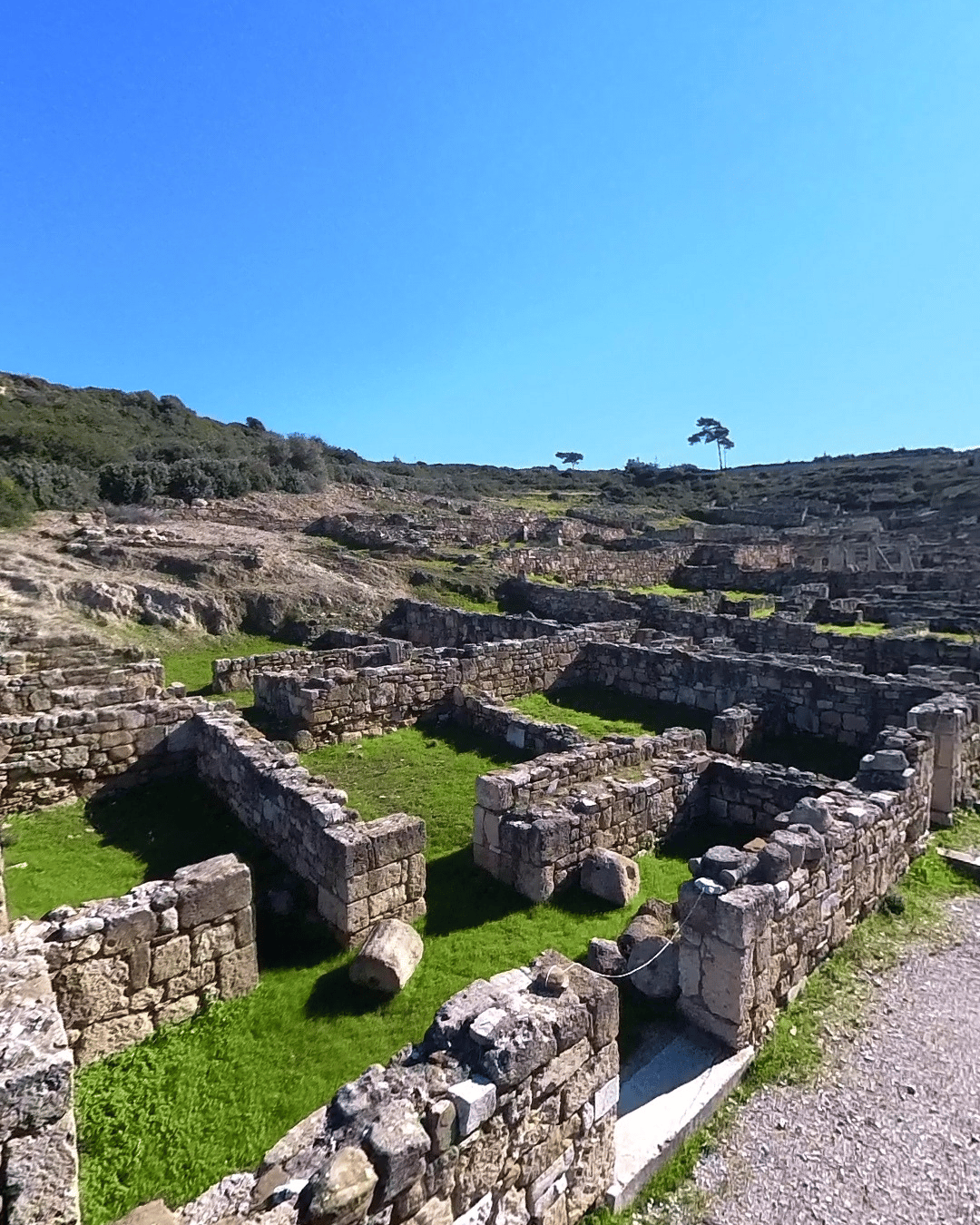 Ancient stone ruins of the city of Kamiros on Rhodes island with green grass under a clear blue sky.