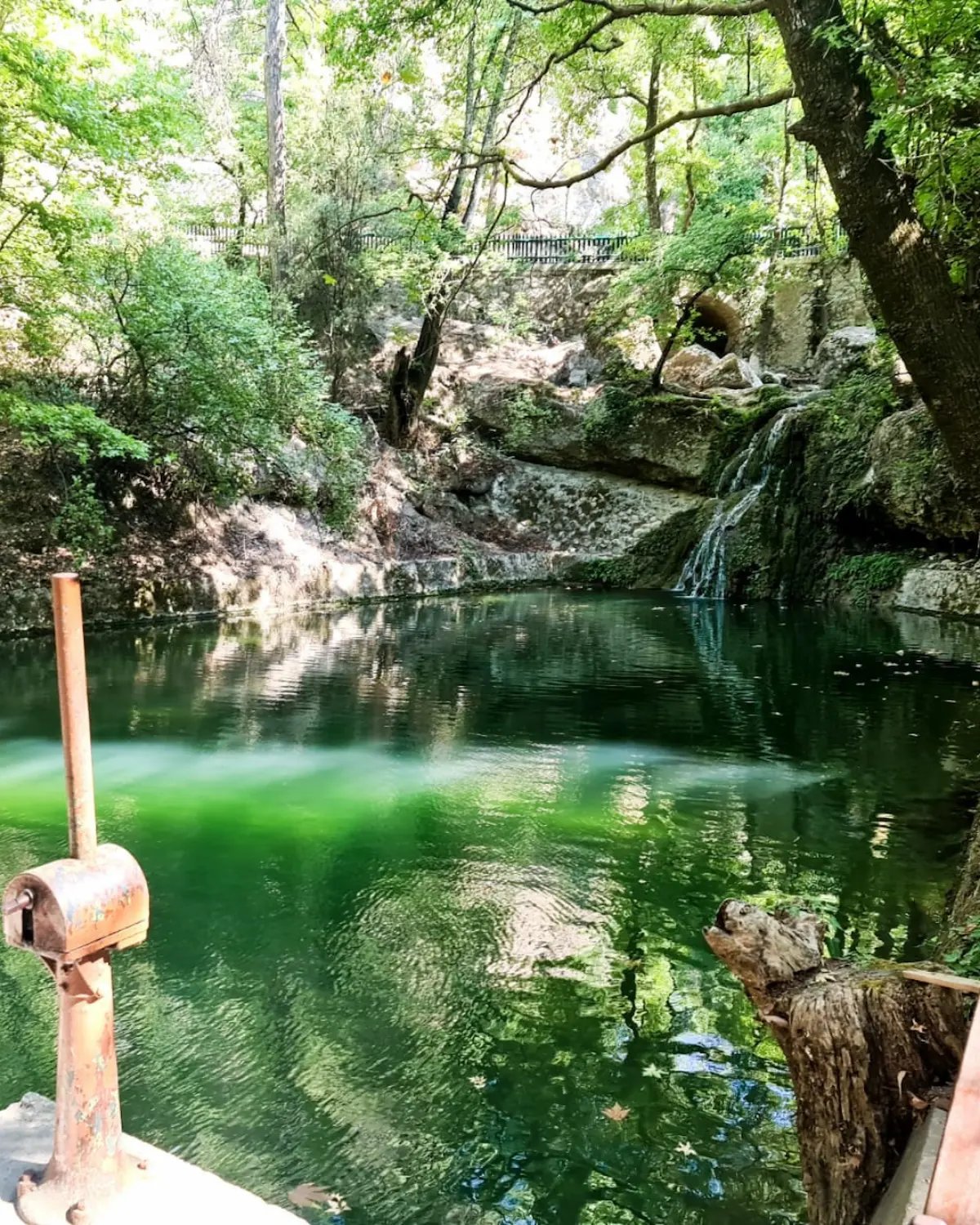 Serene green pond with a small waterfall surrounded by lush trees in a natural forest park.