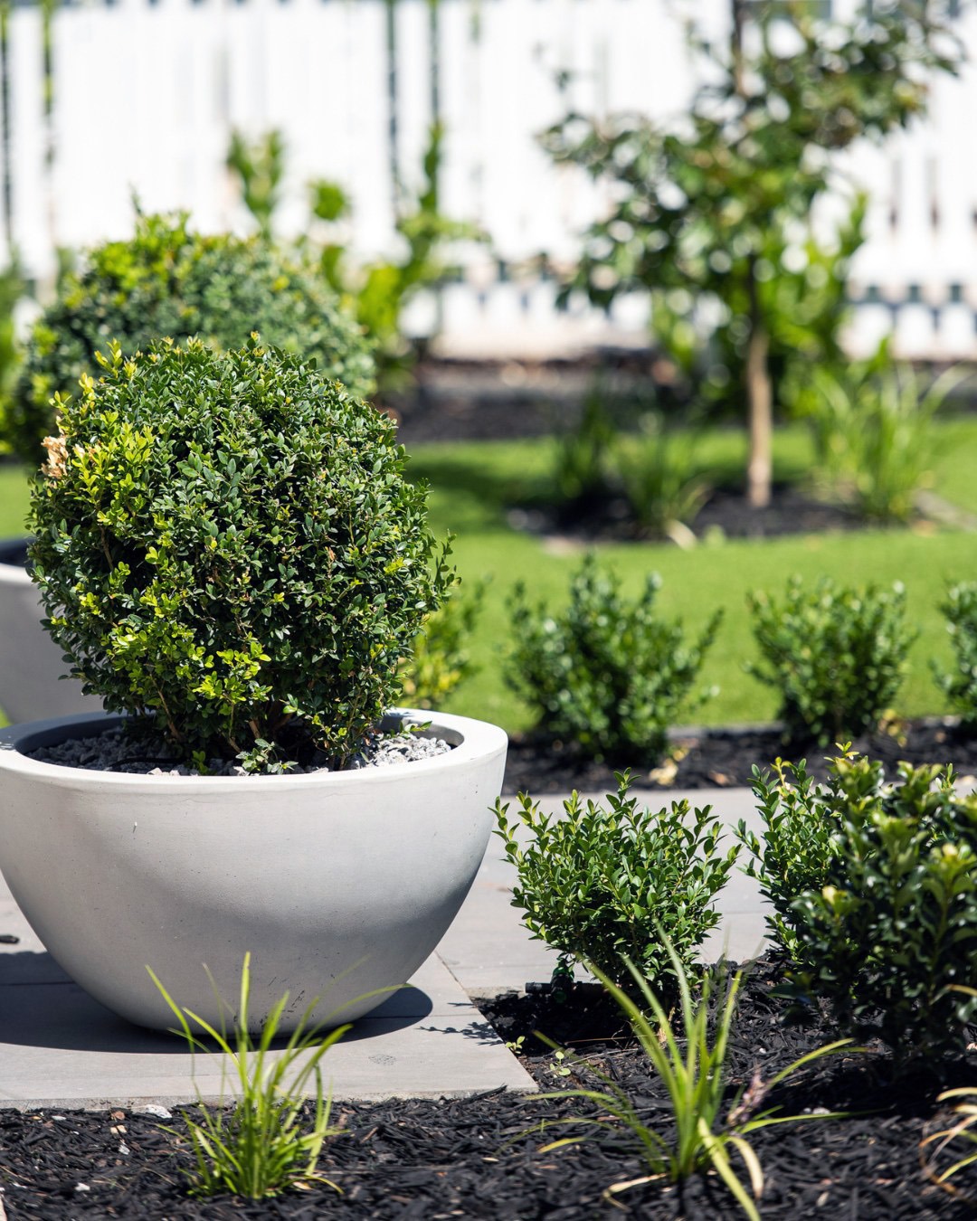 a potted planter with a potted planter