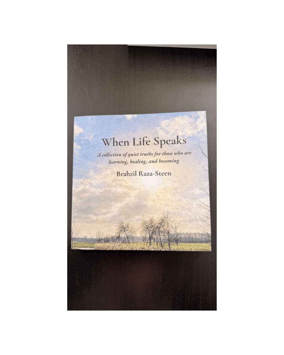 The book cover of When Life Speaks by Brahzil Raza-Steen features a peaceful sky and landscape.