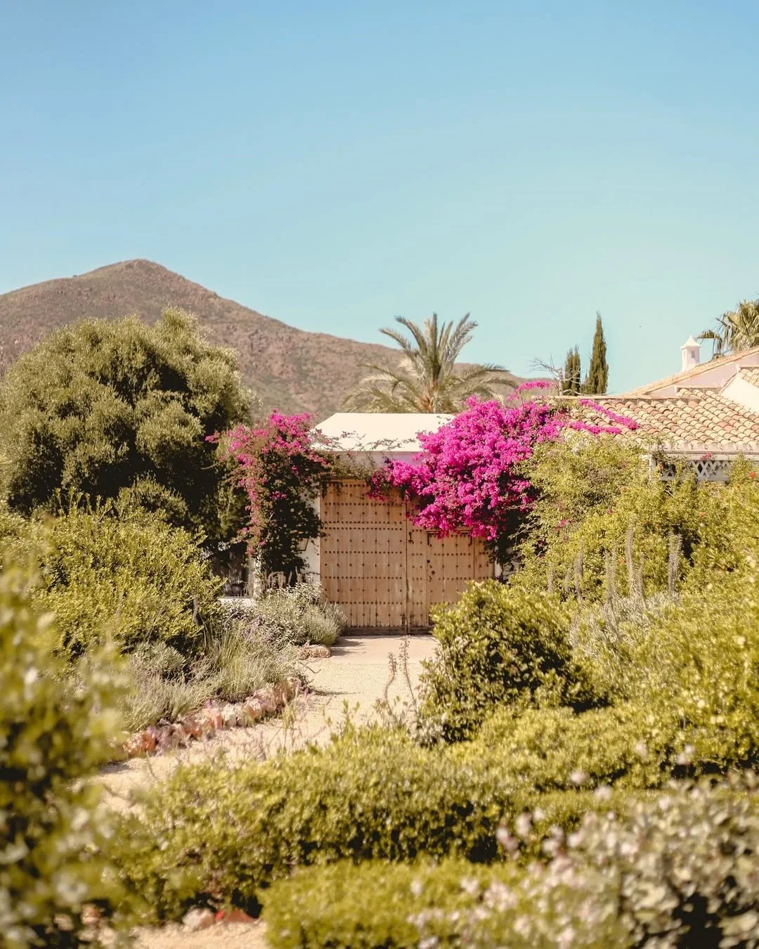Garden entrance with wooden gates, bougainvillea and mountain backdrop
