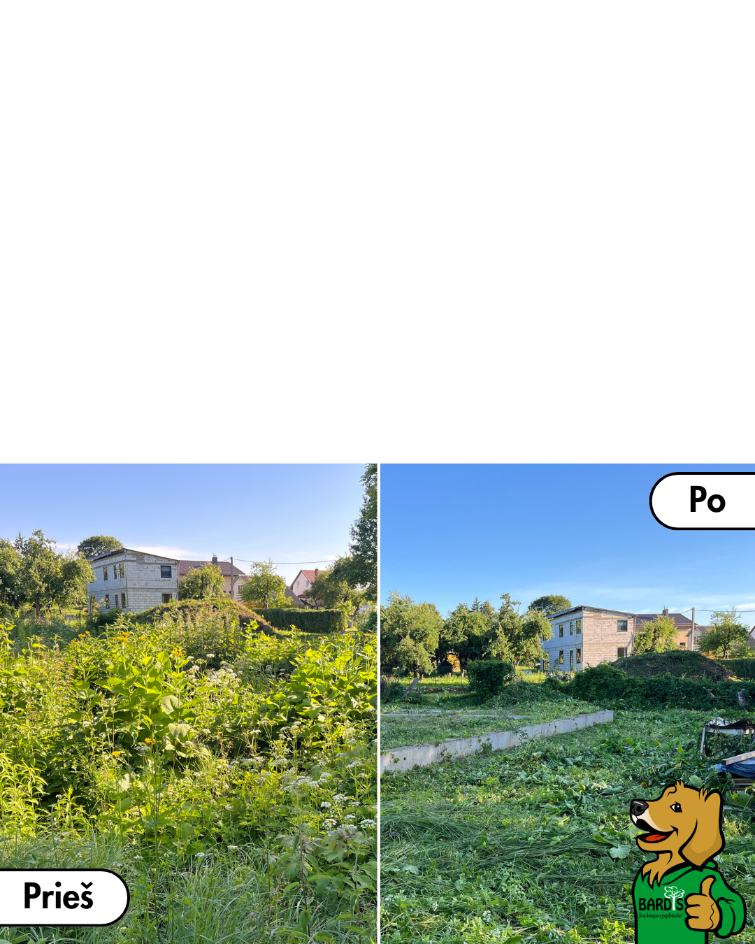 pries ir po - aukštos žolės pjovimas sudėtingomis salygomis