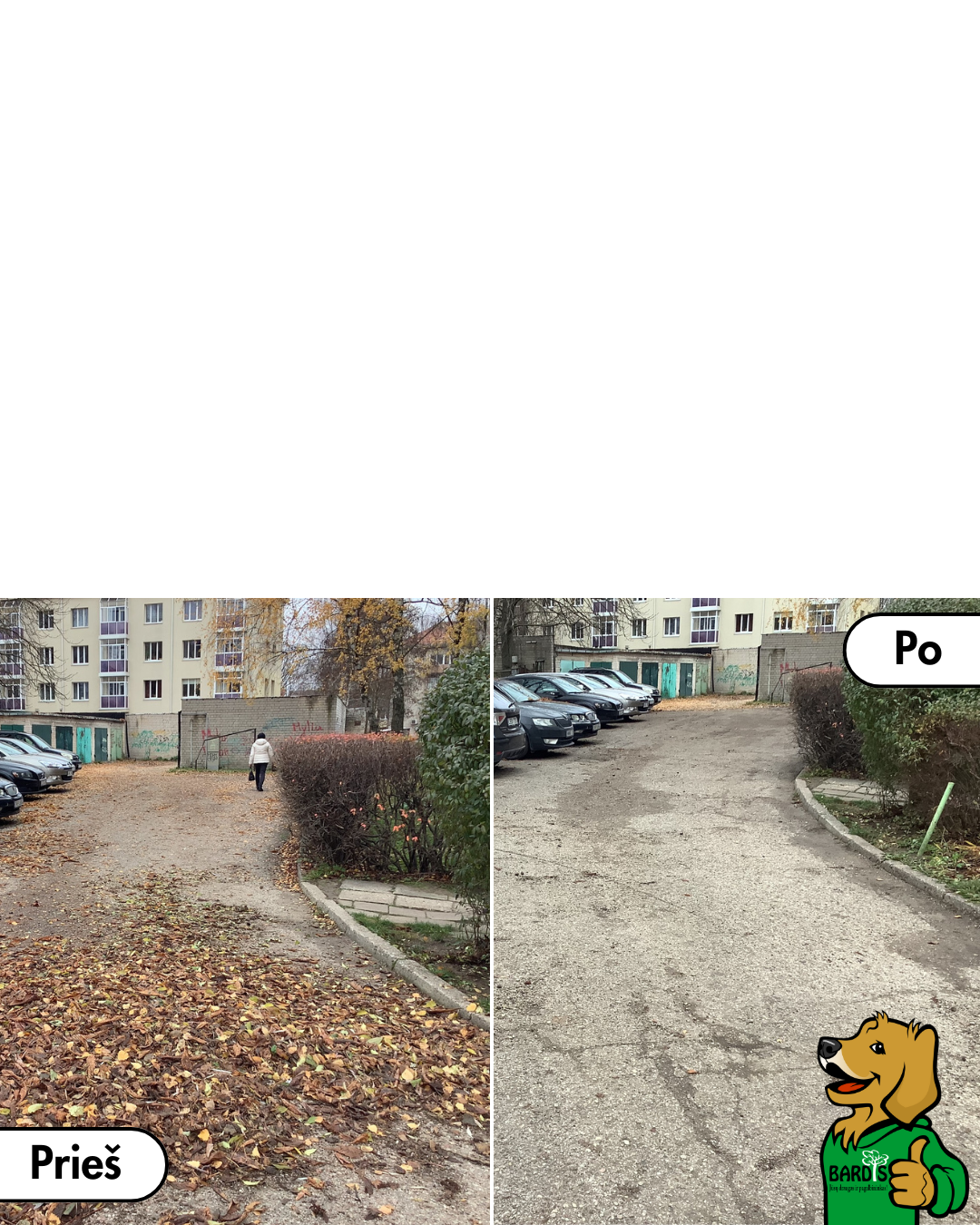 Lapų grėbojimas (tvarkymas) kieme pries ir po