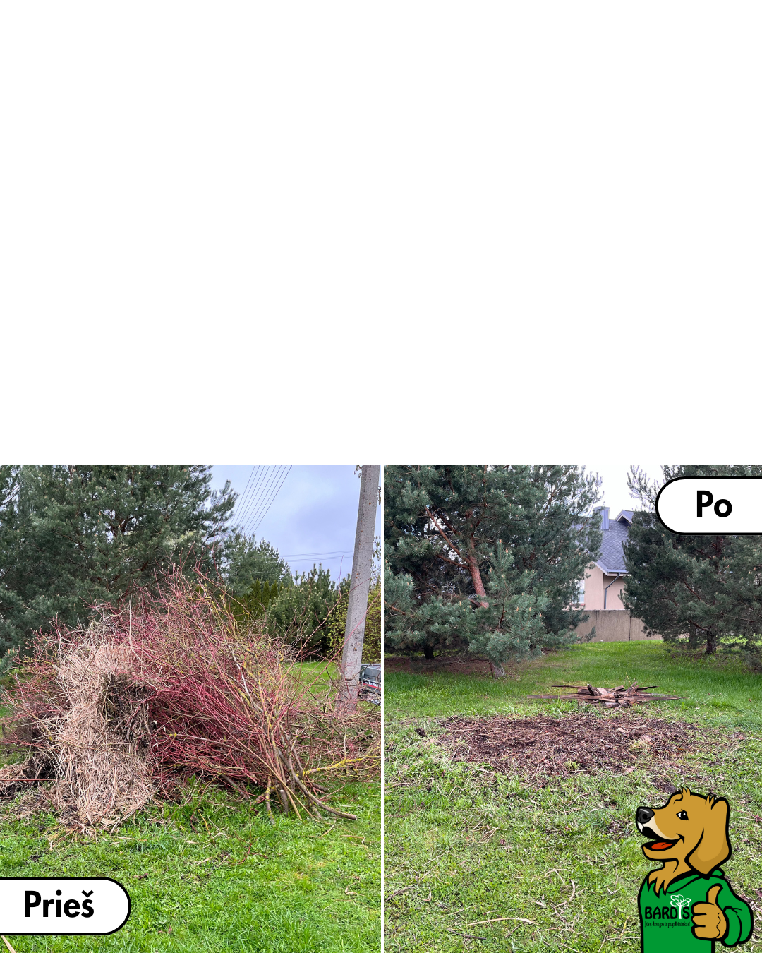 saku išvežimas utilizuoti pries ir po