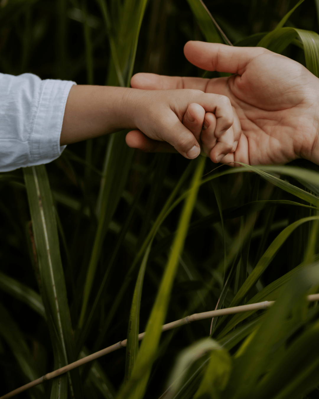 A short story of prayers, miracles, and the magical moment when innocence touches the divine.