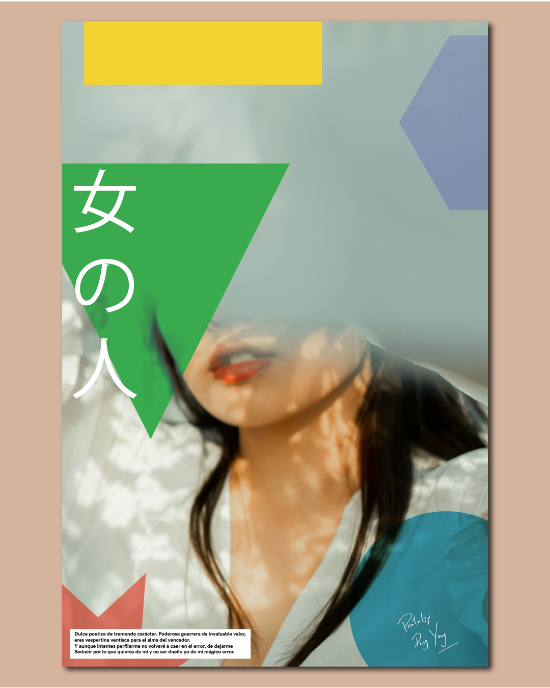 Artistic poster featuring a woman with Japanese kanji text and colorful geometric shapes.