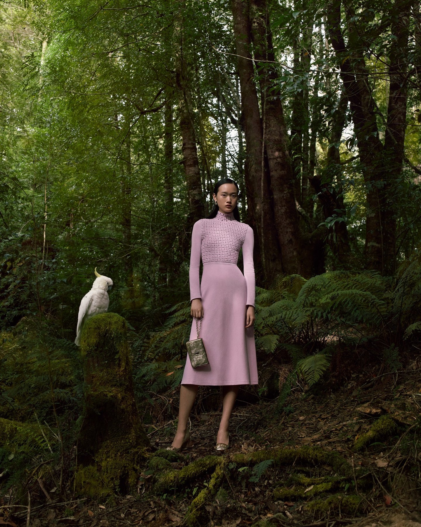 Scanlan Theodore advertising photo featuring Capone the Sulpher Crest Cockatoo