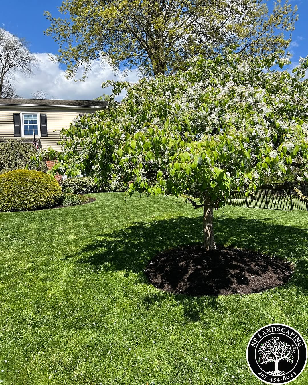 excellent landscaping and hardscaping of grass, stones and trees by NP Landscaping