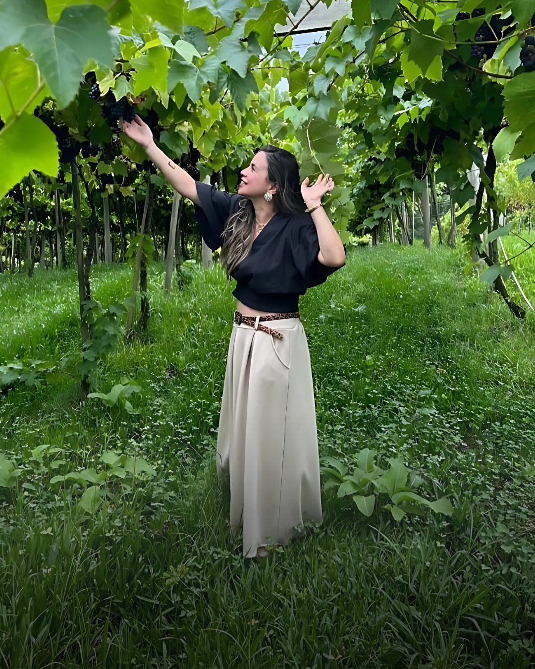 sommeliere lu plates, melhor clube de vinho em curitiba