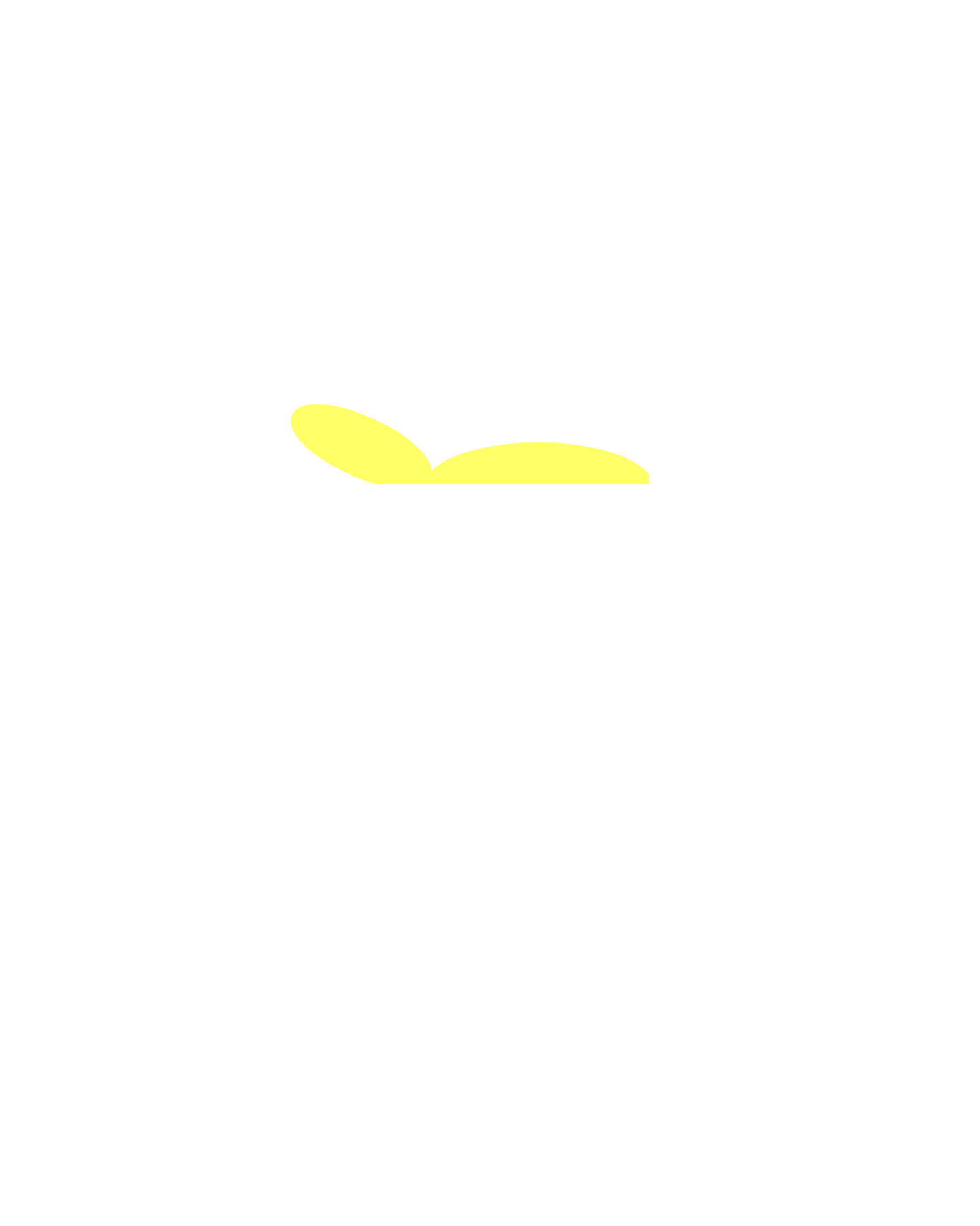 The bed shed nz making every mattress a dream