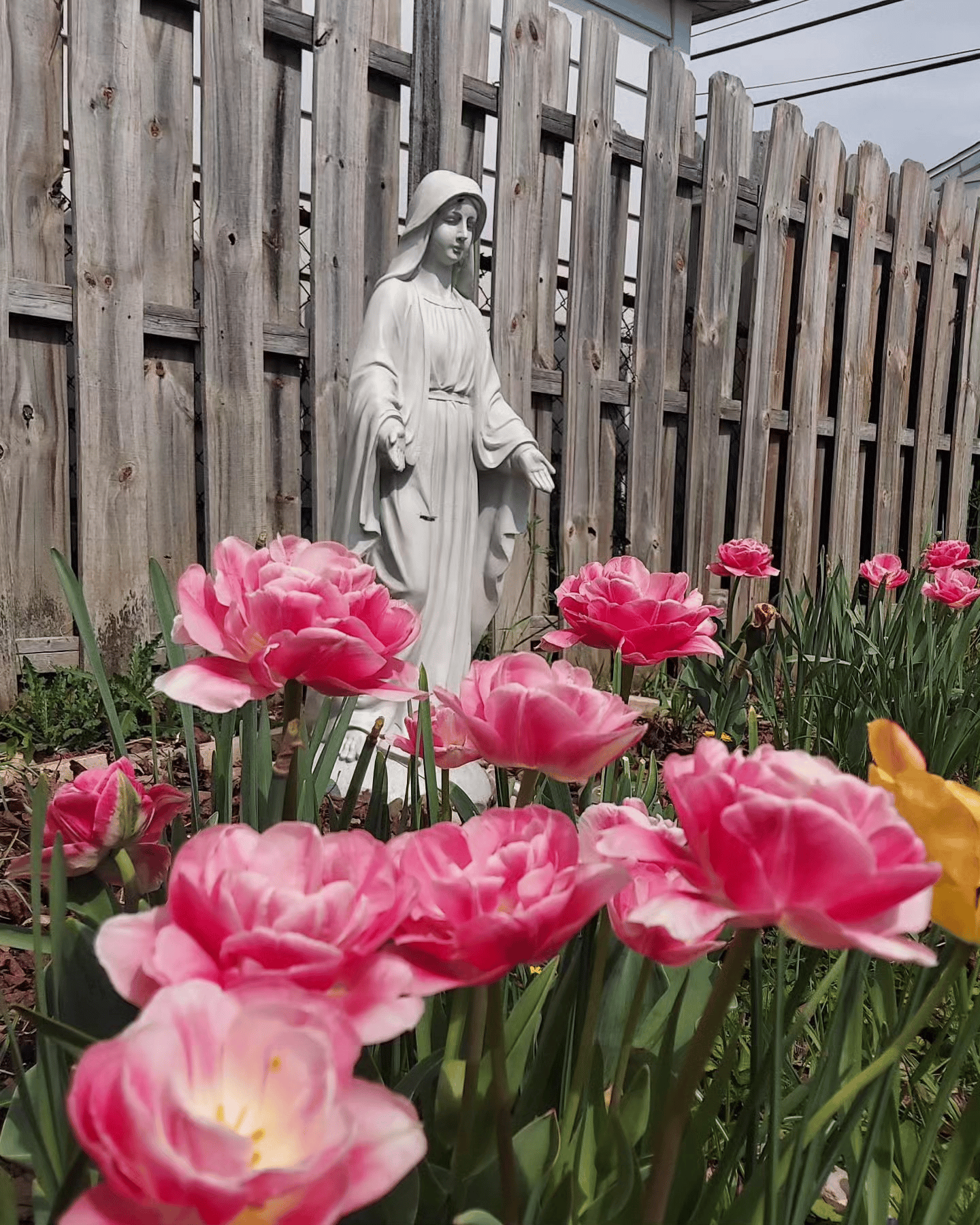 prayer garden Mary image