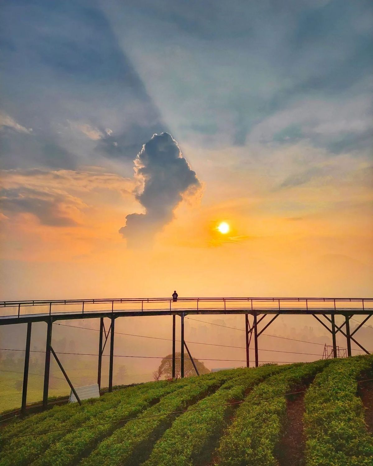 Pemandangan matahari terbit oranye yang dramatis di Nimo Highland, Bandung. Jembatan kaca panjang dengan satu siluet orang di
