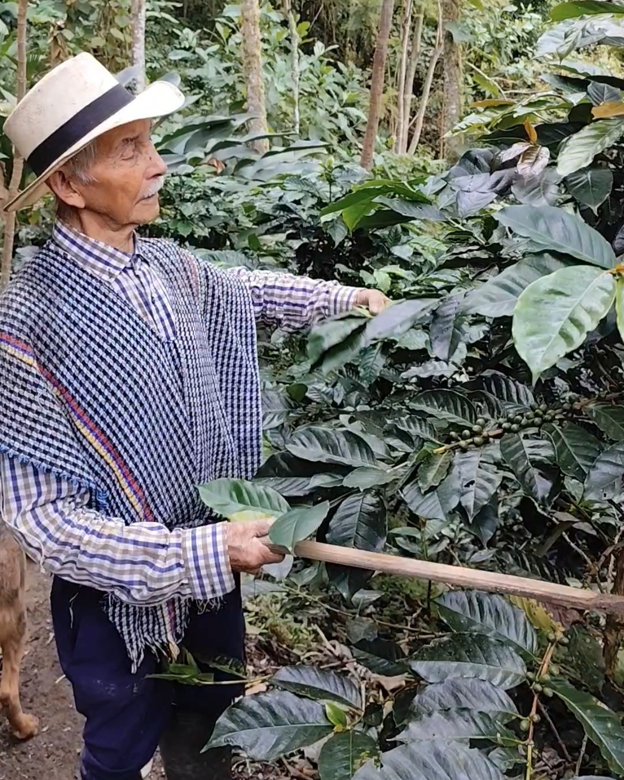 Familia campesina de Anzoátegui en entorno rural de montaña