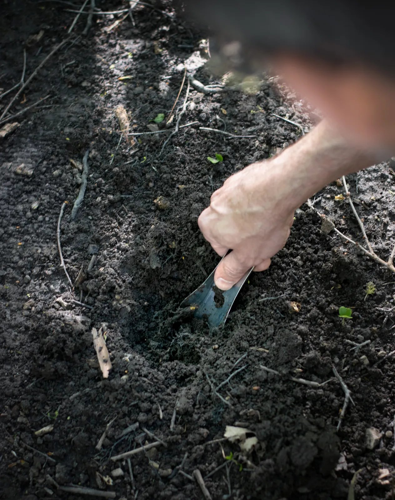 hand digging with boglerco trowel