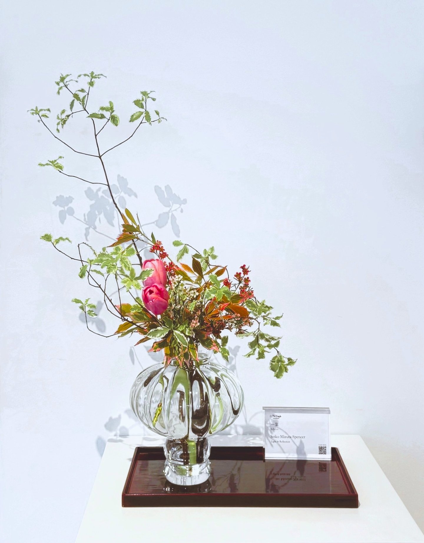 Seiko Mizuta-Spencer - Ichiyo School