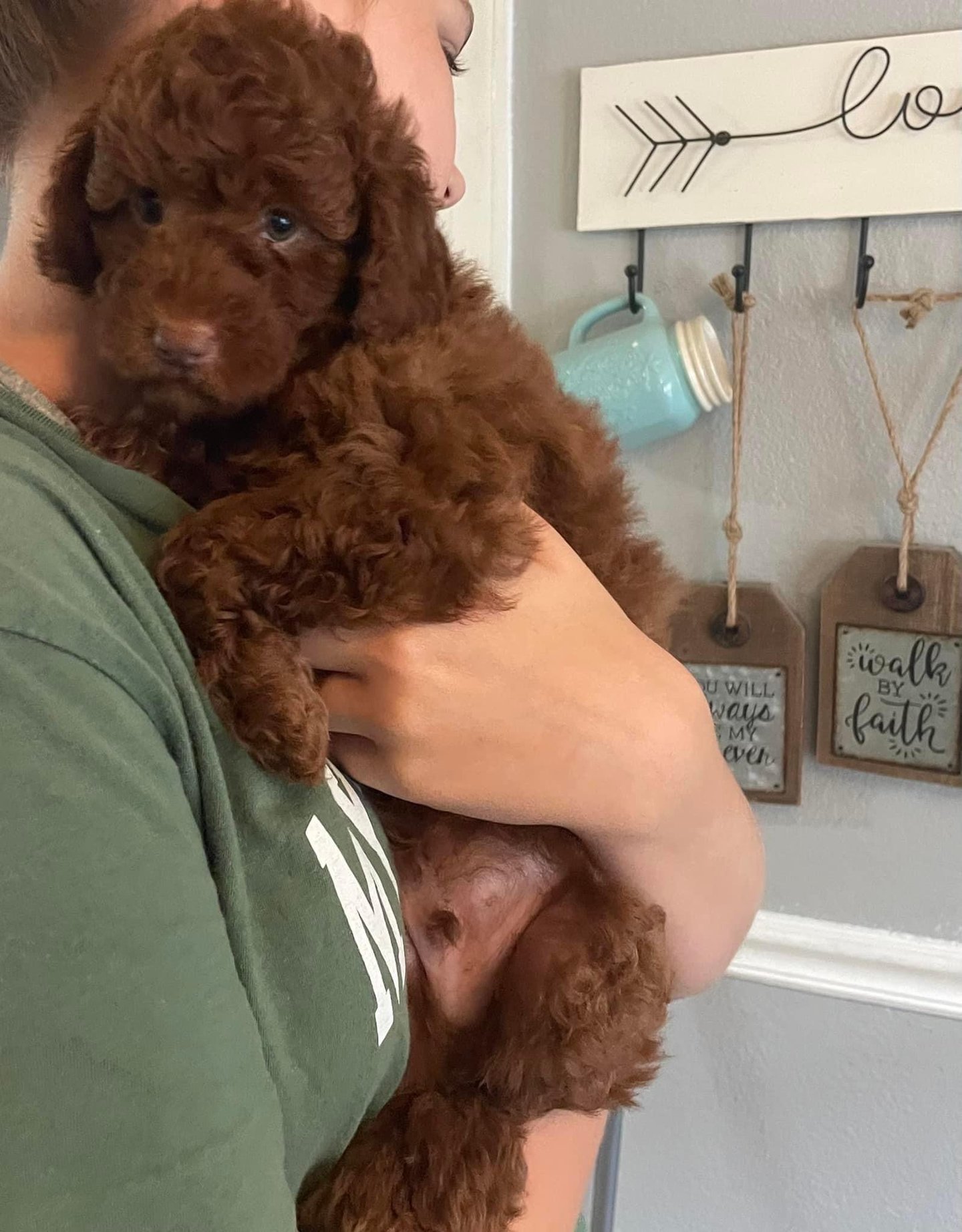 a woman holding a brown puppy puppy in her arms