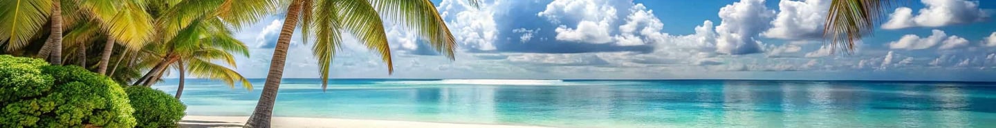 linda praia ensolarada 