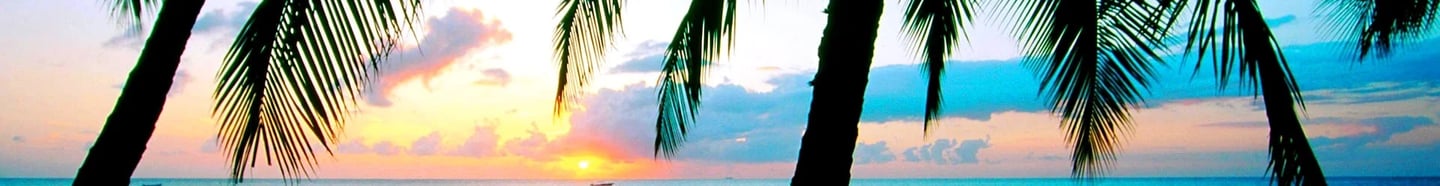 image banner