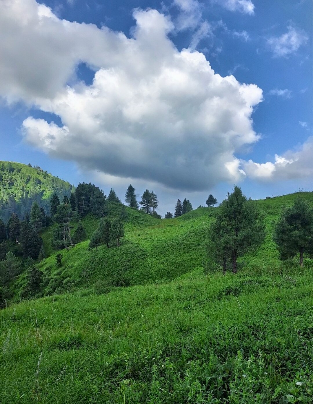 Miranjani top view in summer with clouds in background 
