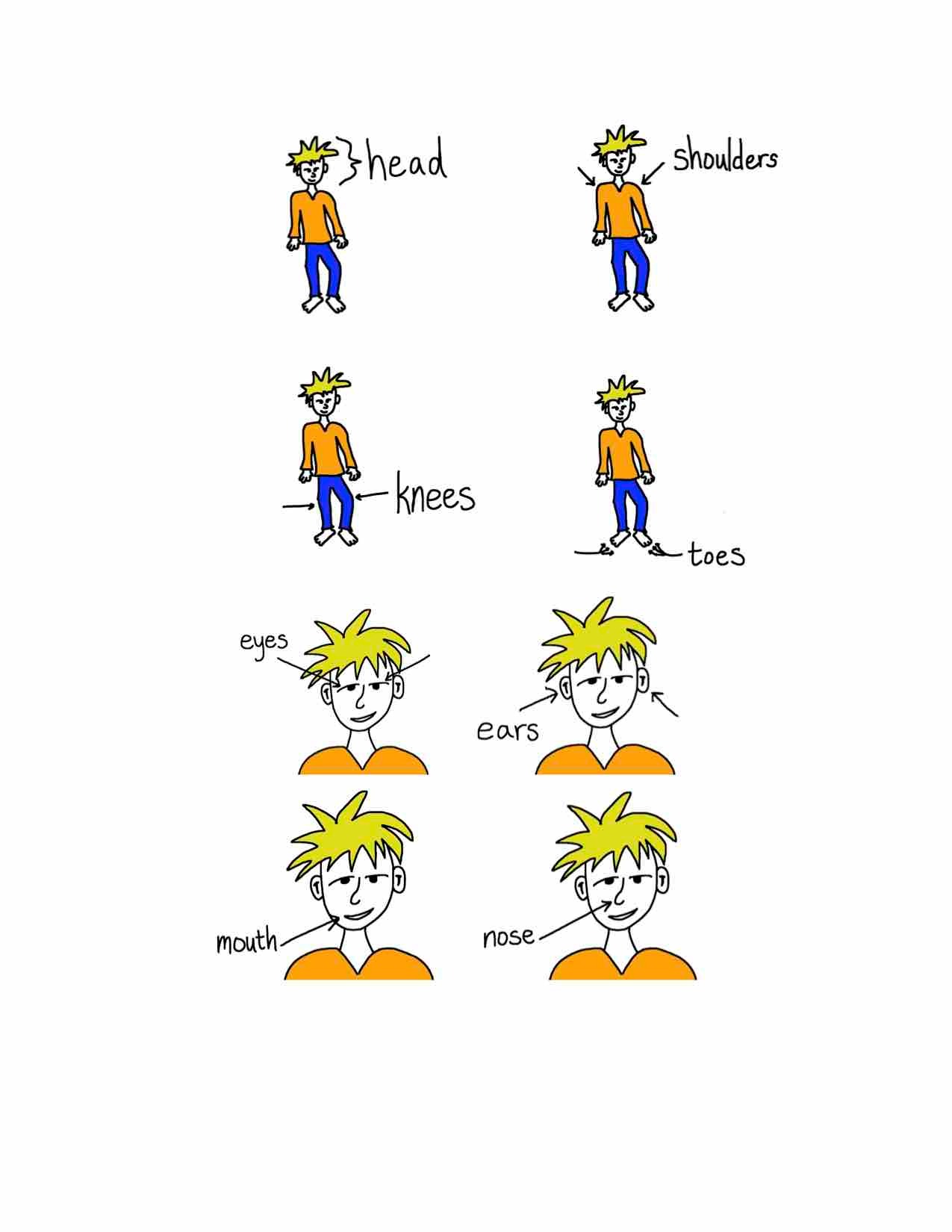 body parts lesson head shoulders knees and toes song cartoon