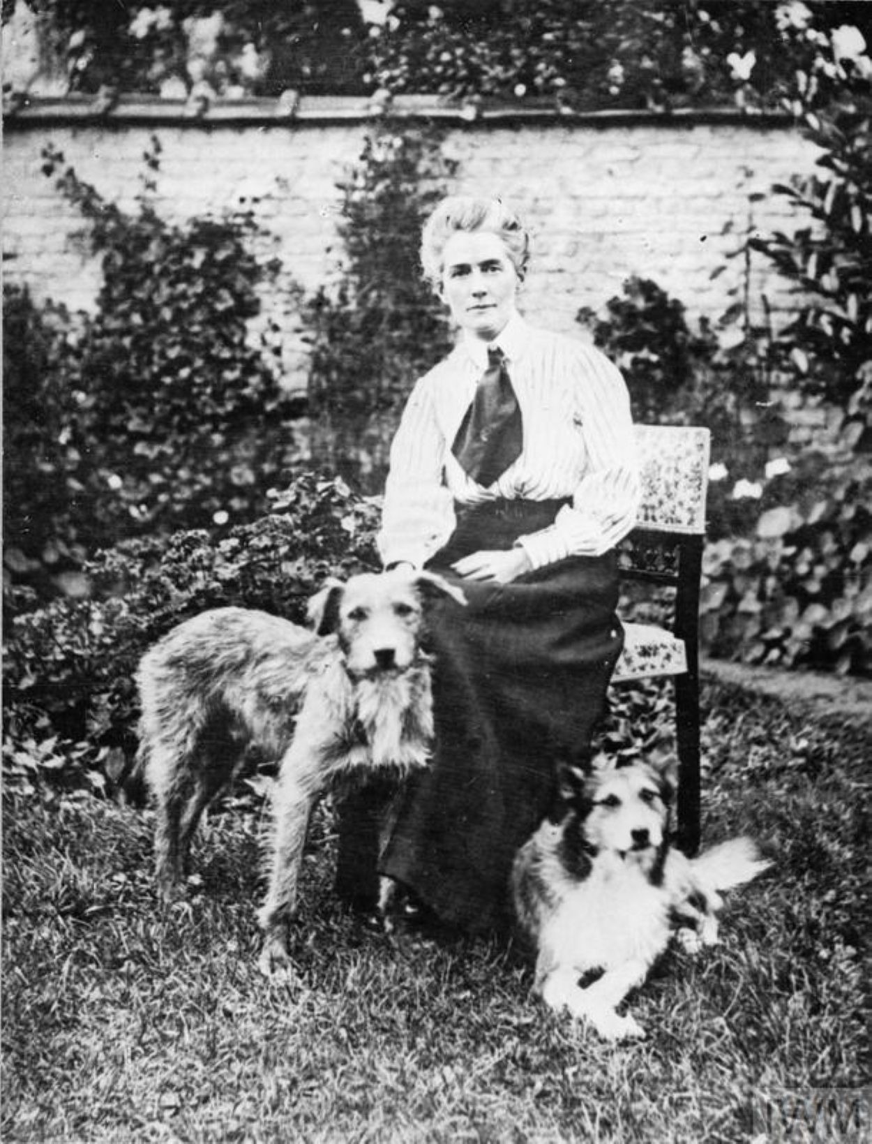 Edith Cavell