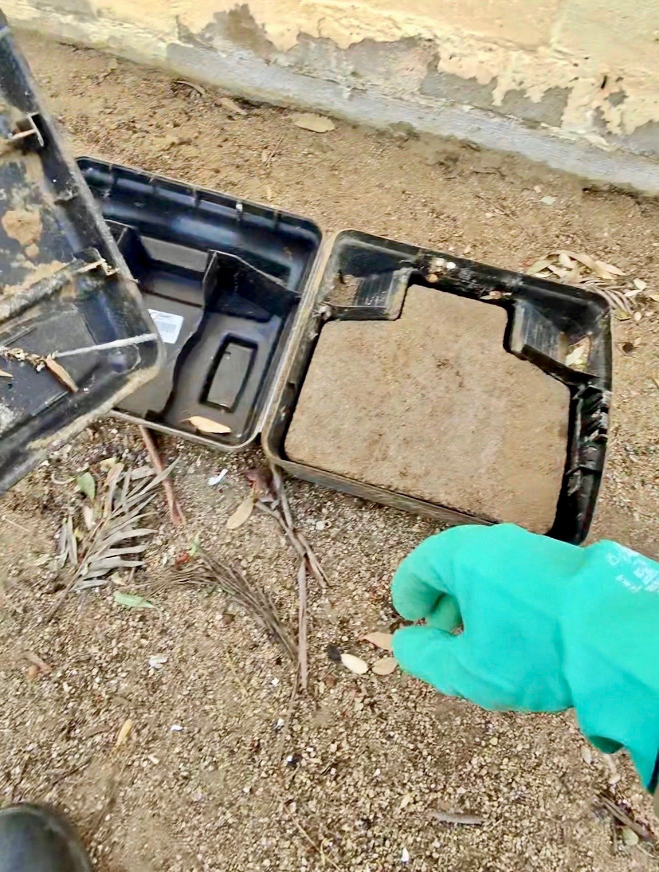 Rodent Bait Station Maintenance in Riverside County Footprint Pest Management