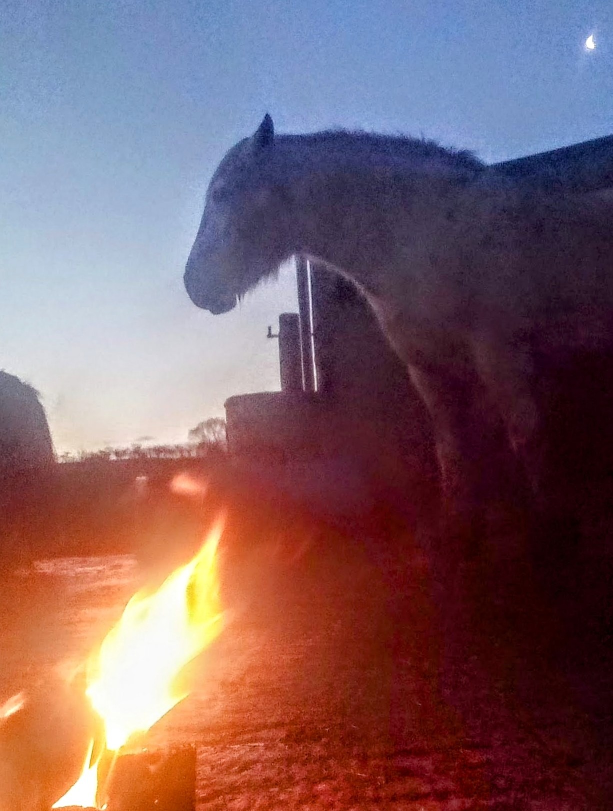 Winter solstice ceremony. Daisy honouring the light