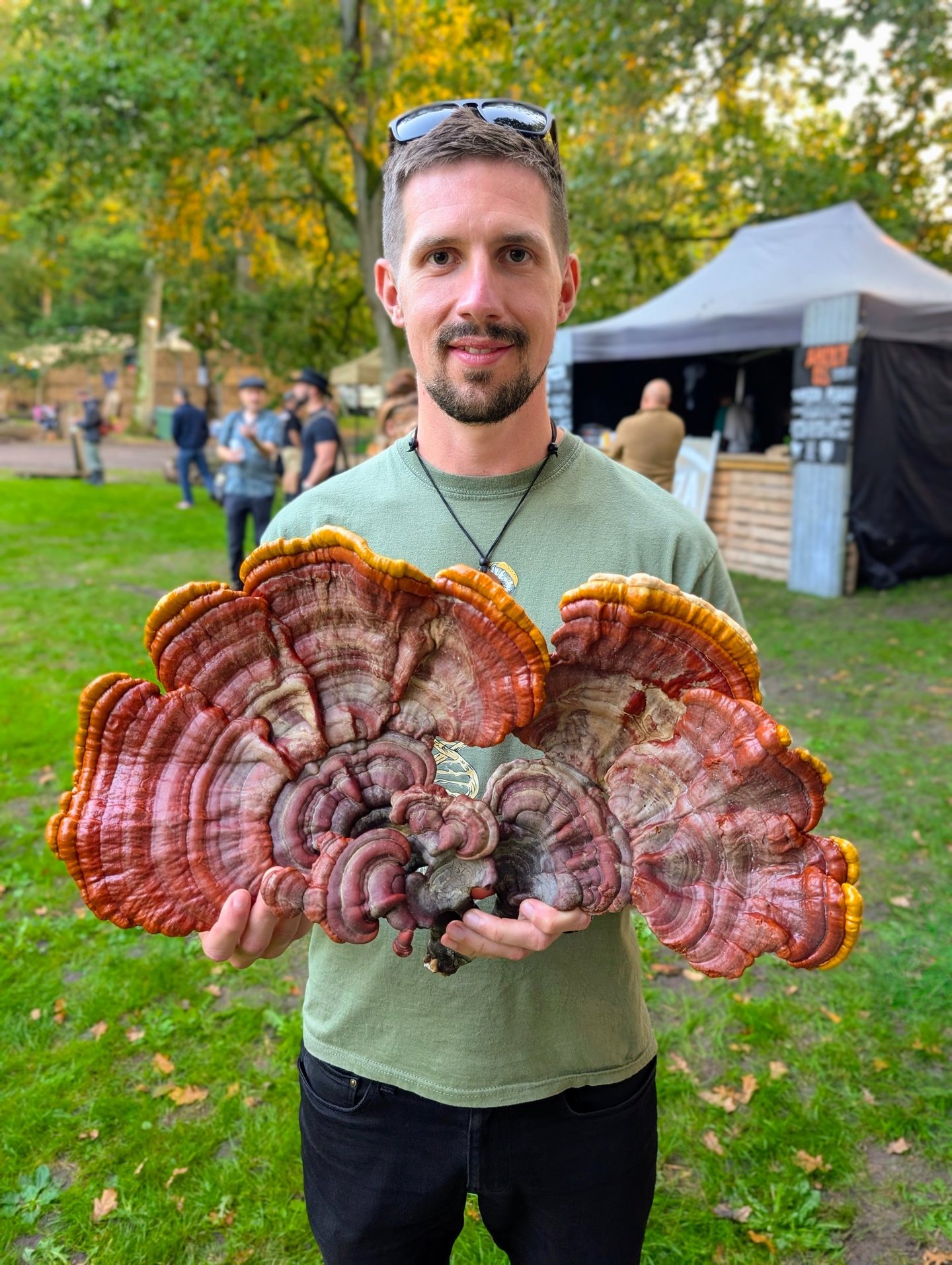 a man holding a large Reishi Mushroom - ganoderma lucidum, or Lingzhi