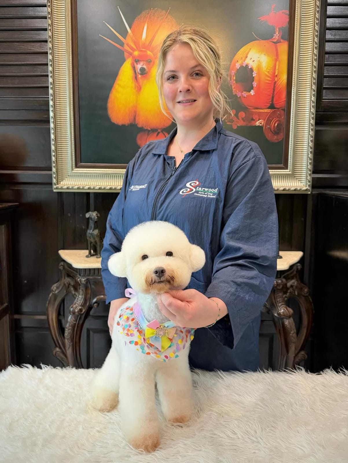 Professional dog groomer posing with a white Bichon Frise showing a fresh teddy bear cut and colorful bow.