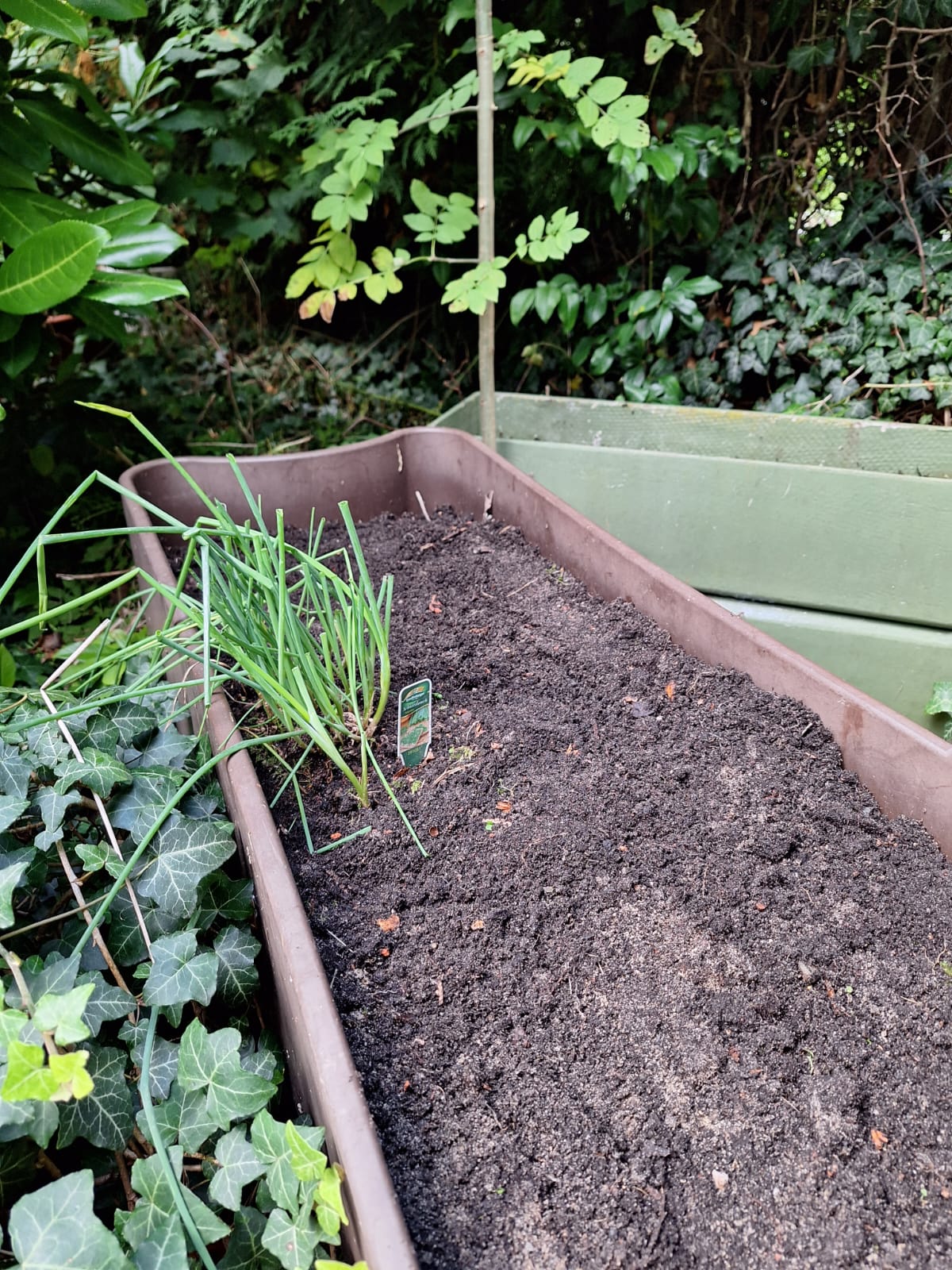 much brown dirt in a planter