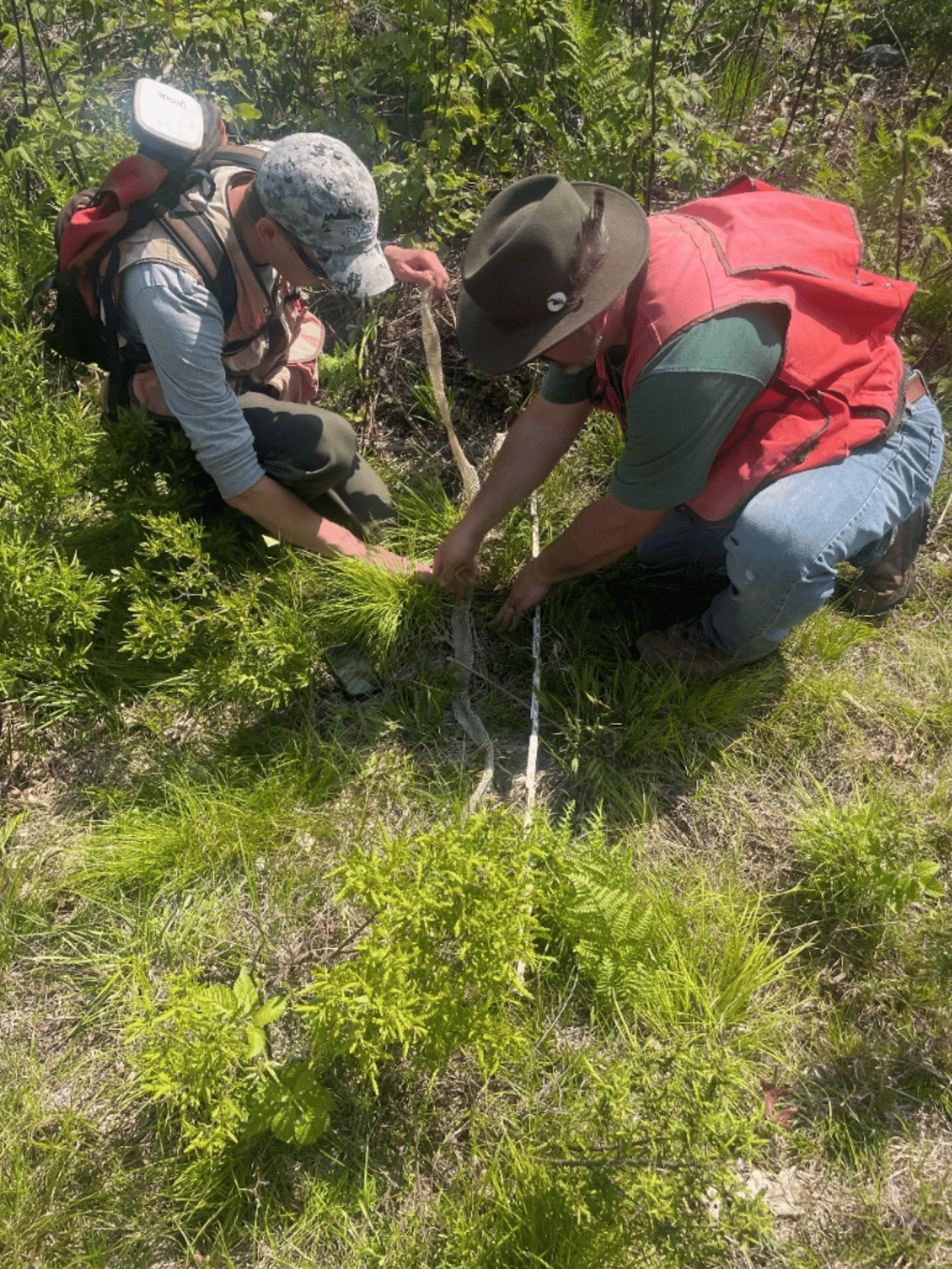 Conservation Assistance | Flycatcher LLC
