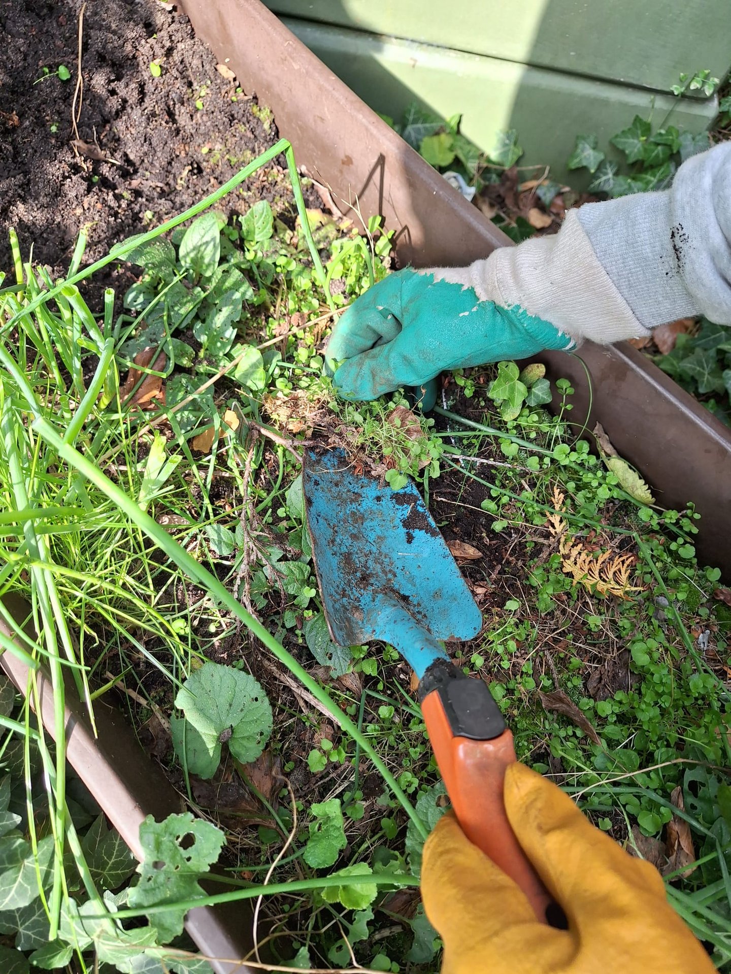 a person that is removing weeds out of a garden bed
