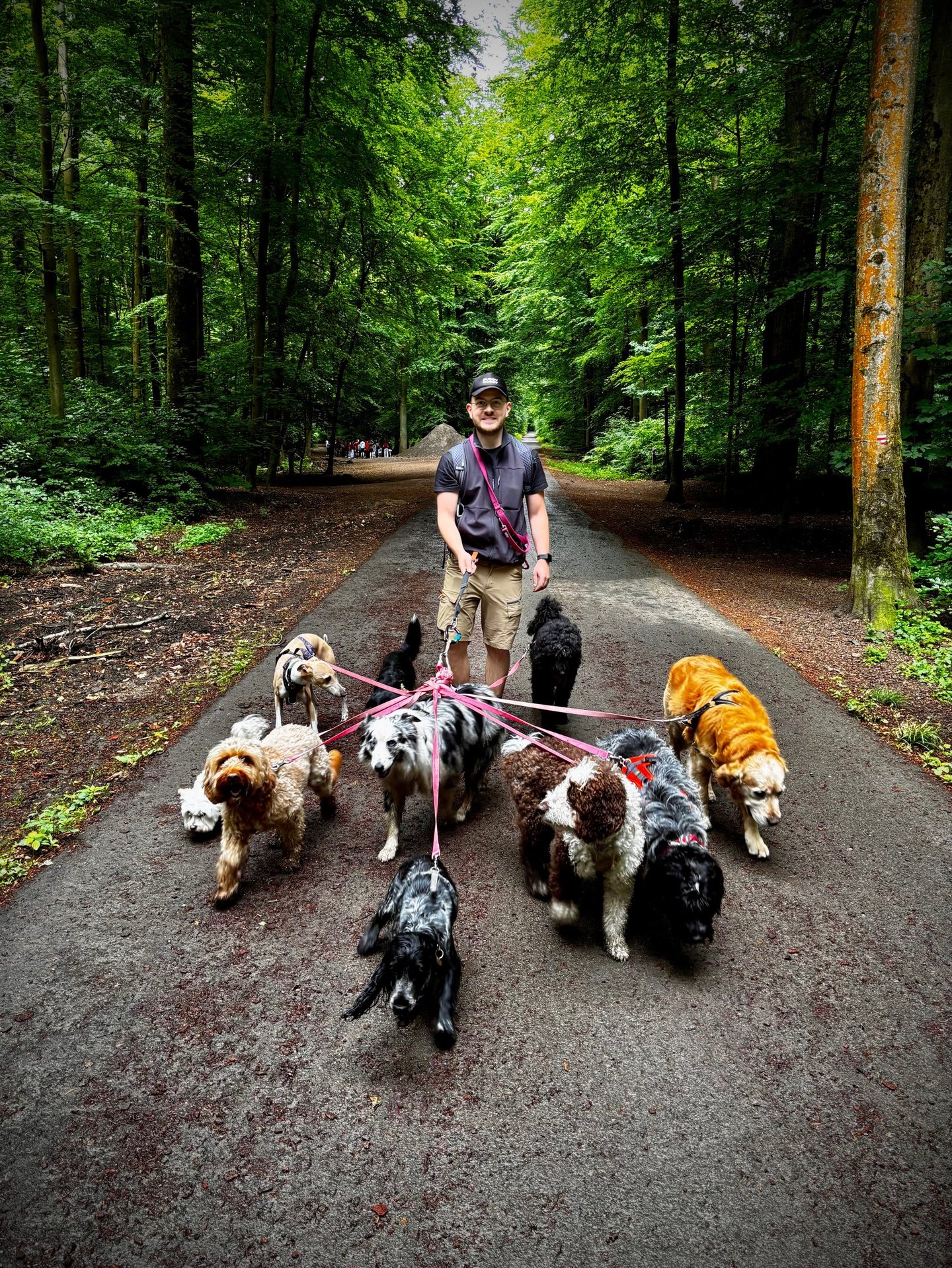 Dog Walking, Dog sitting, Dog Coaching Bruxelles