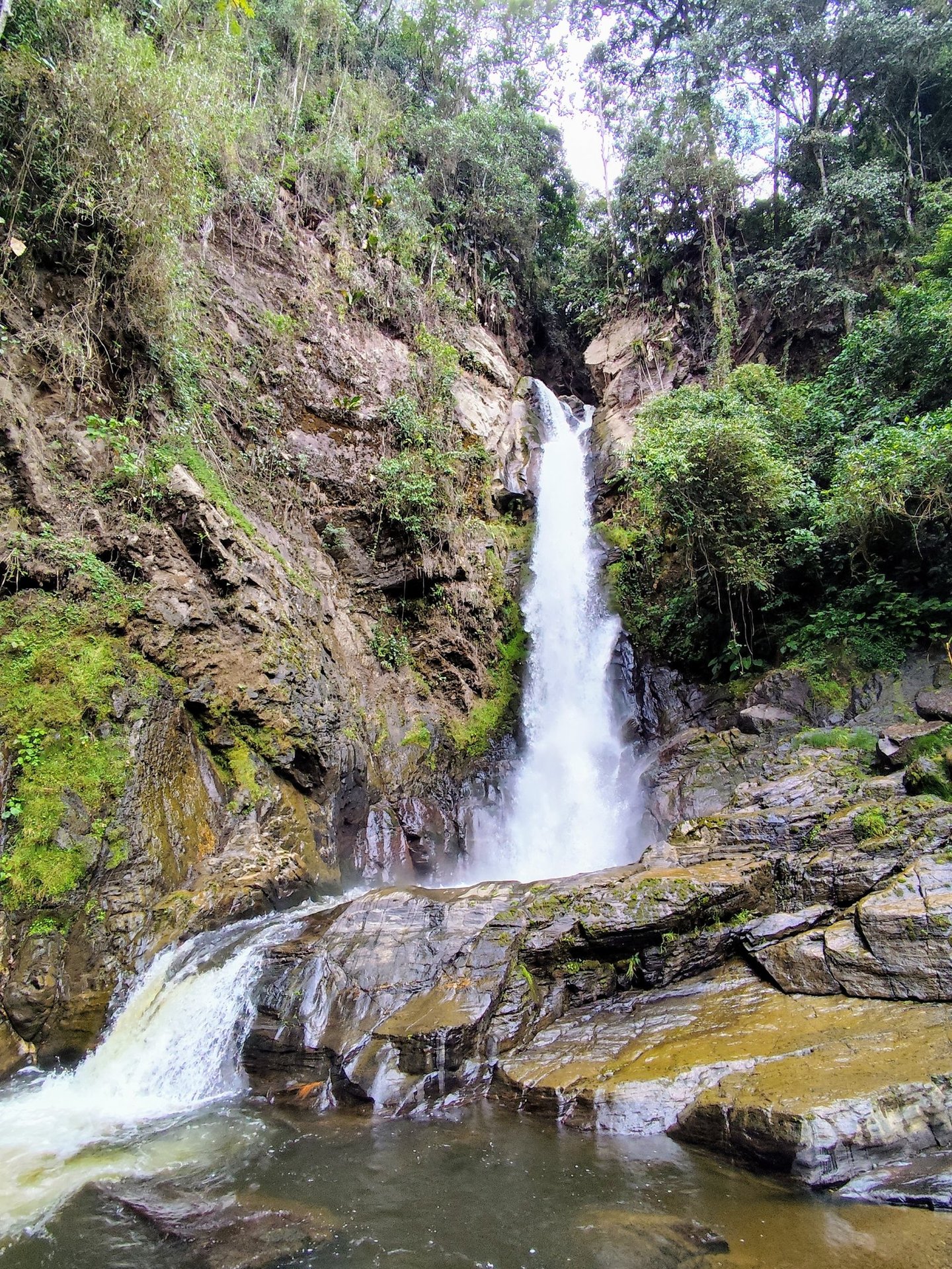 Cascada Alejandra en Anzoátegui Tolima, caminata suave y cascadas naturales