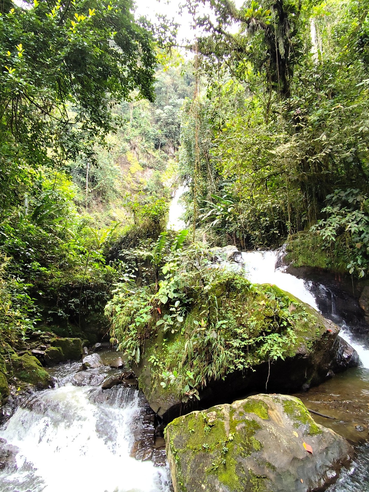 Corriente del río que conduce a la Cascada Alejandra