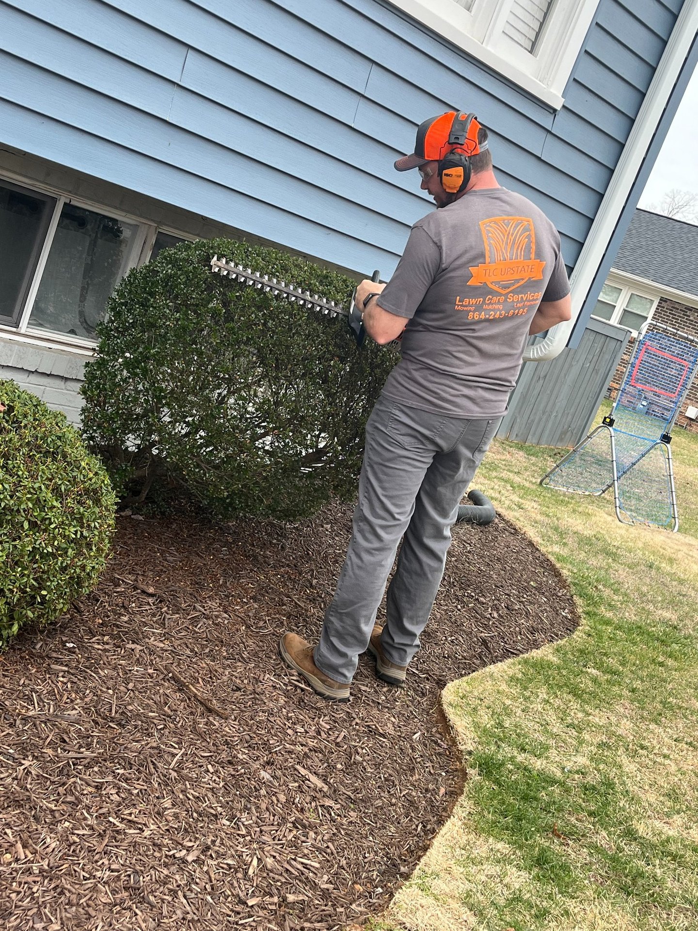 Tlc Upstate Lawn and Pest Trimming Hedges