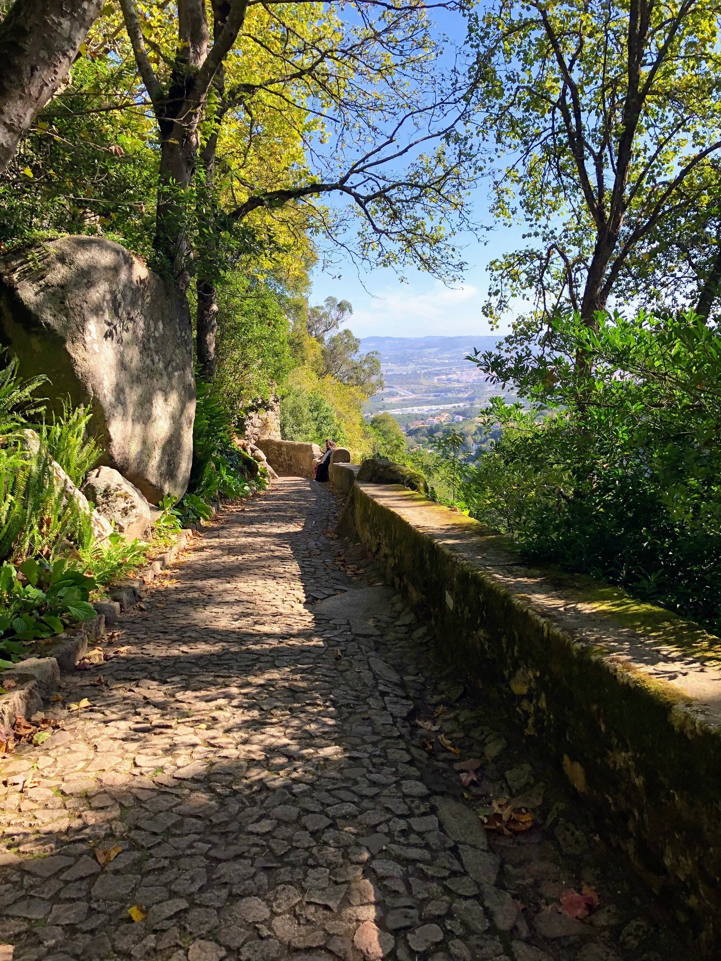 NA coach a mis une photo d'un chemin pavé avec une vue sur l'horizon qui permet de se recentrer