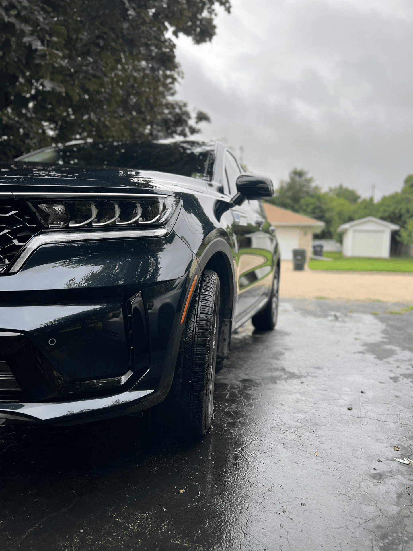 Perfectly washed sports car with sparkling clean windows and body