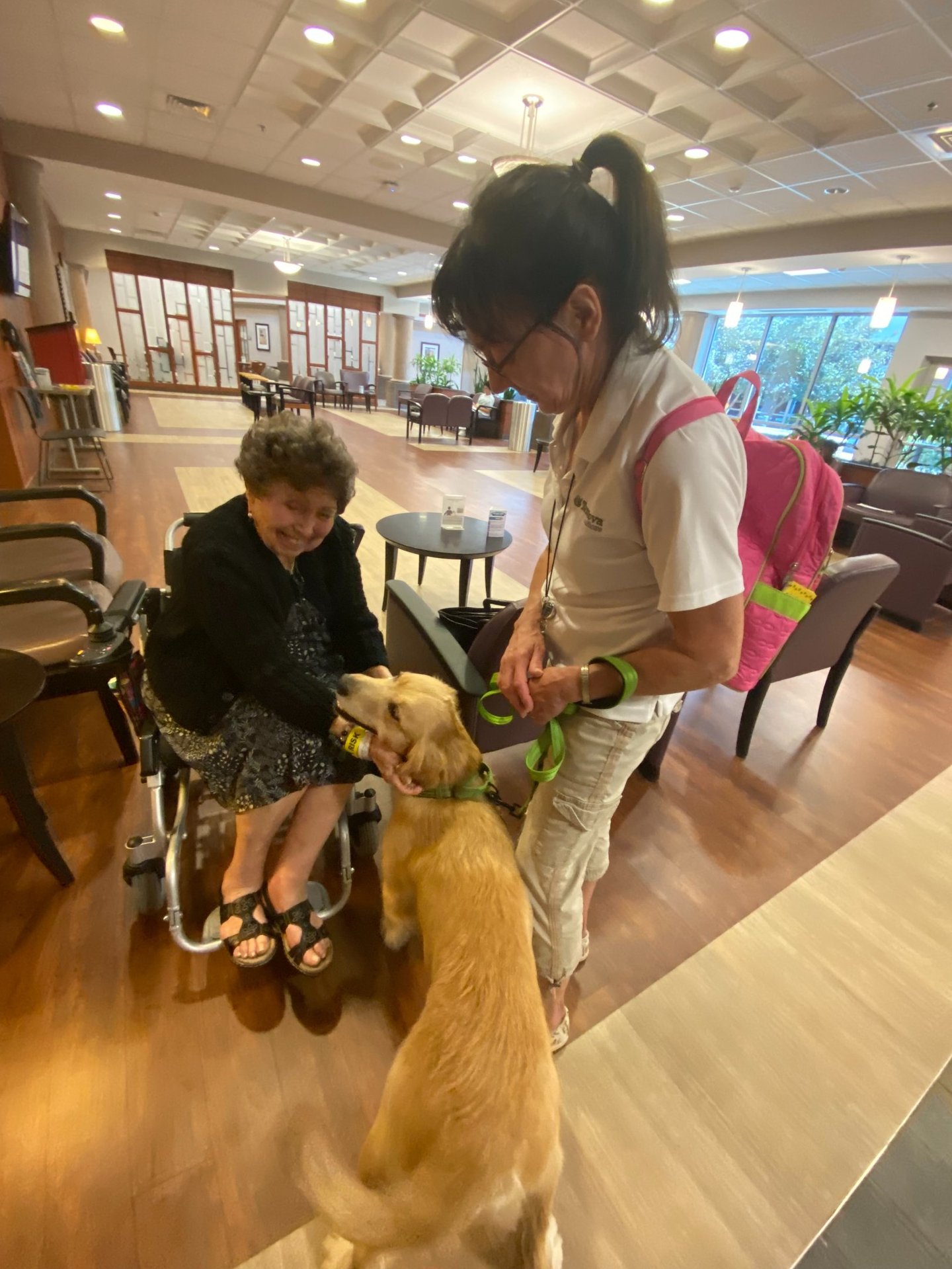 Woman in wheelchair with Tender Paws Therapy Dog Team Anna ana Lori and Tennova.