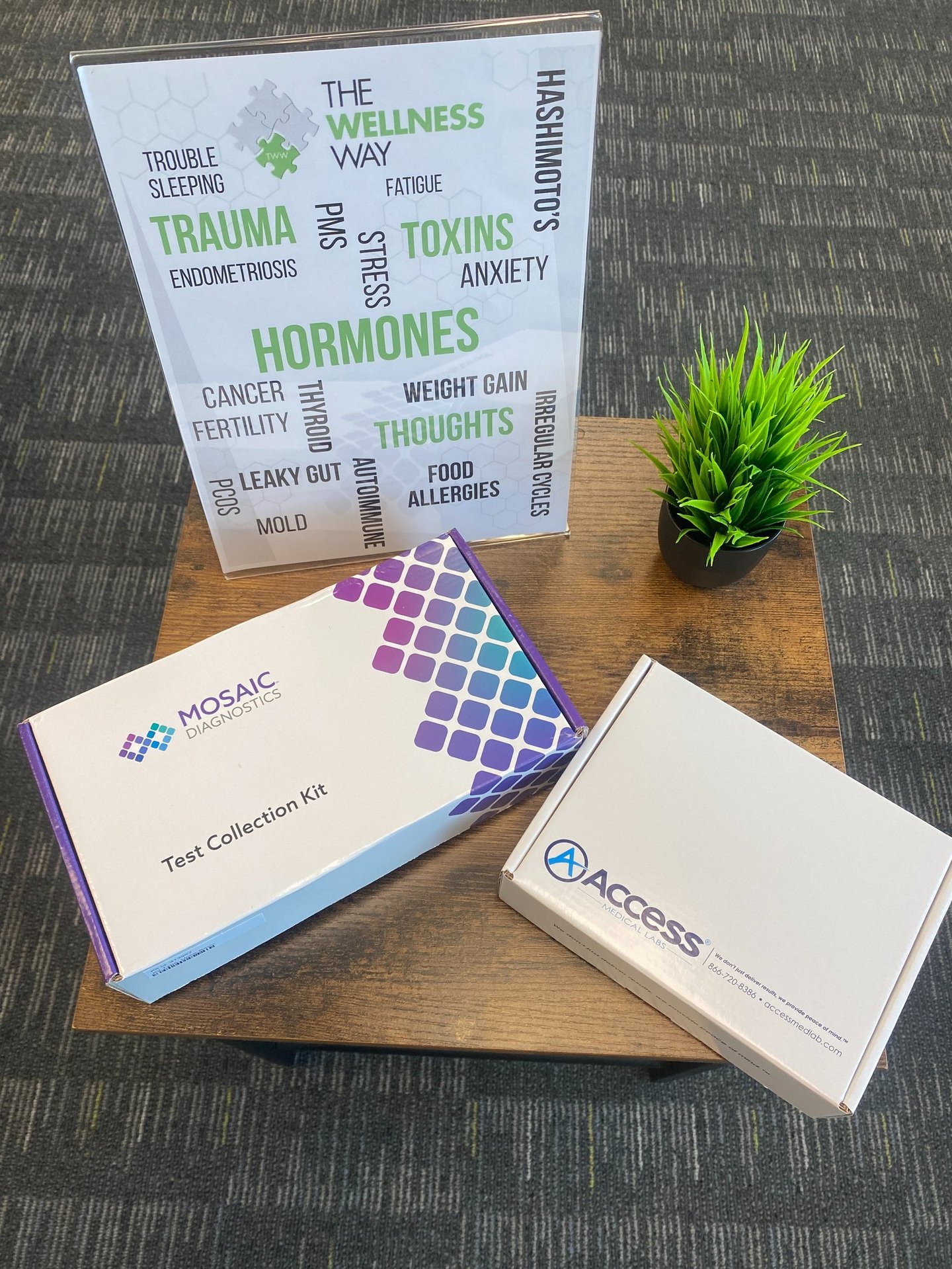 Some of the comprehensive testing offered by the wellness way