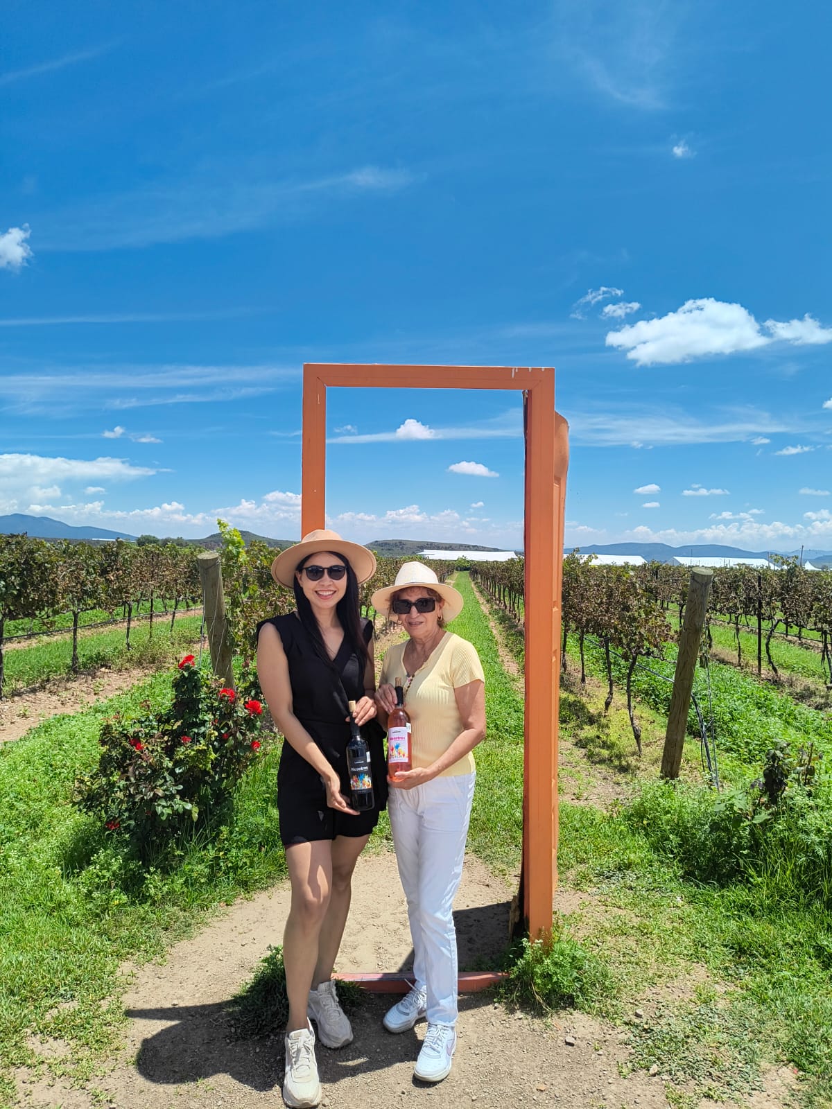 Dos mujeres con botellas de vino en viñedo de Querétaro, experiencia enológica