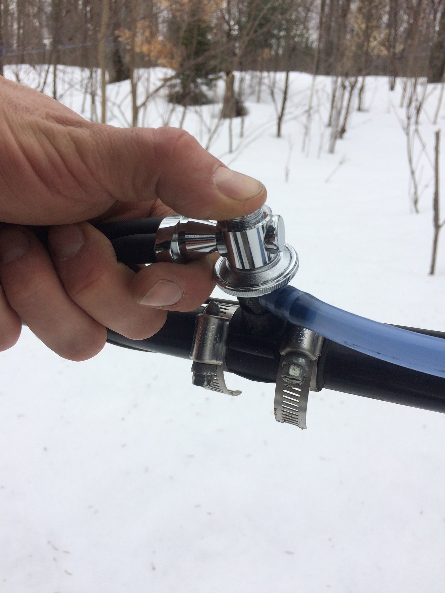 services acéricole, conseils acéricoles