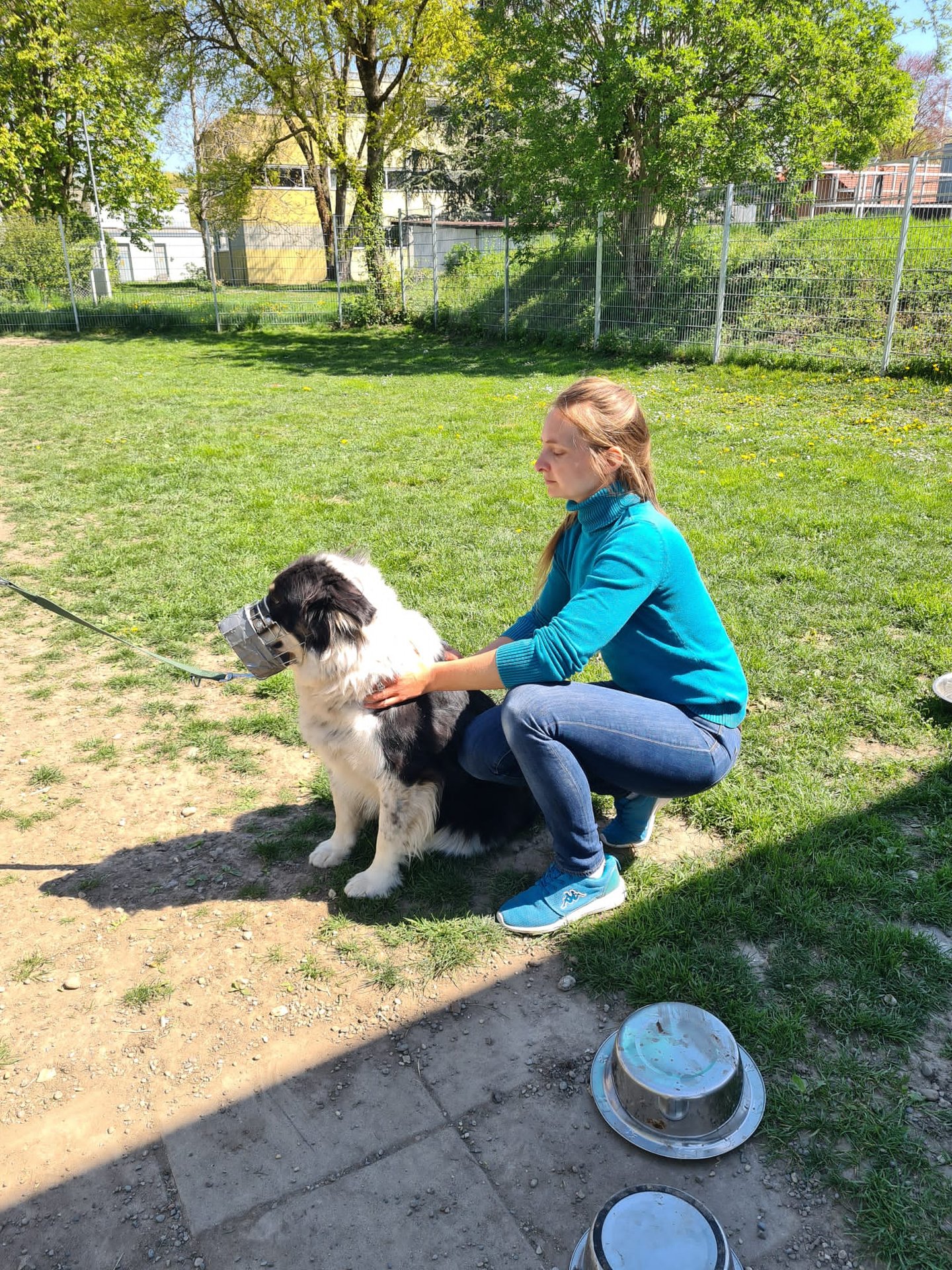 psychosomatische Unterstützung für Tierschutztiere