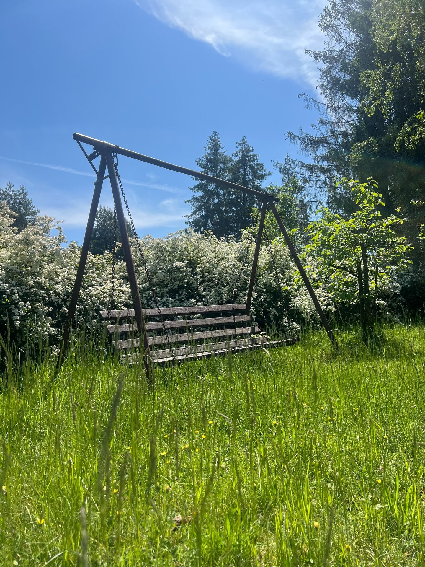 Fot. Justyna Józefowicz, Radlin